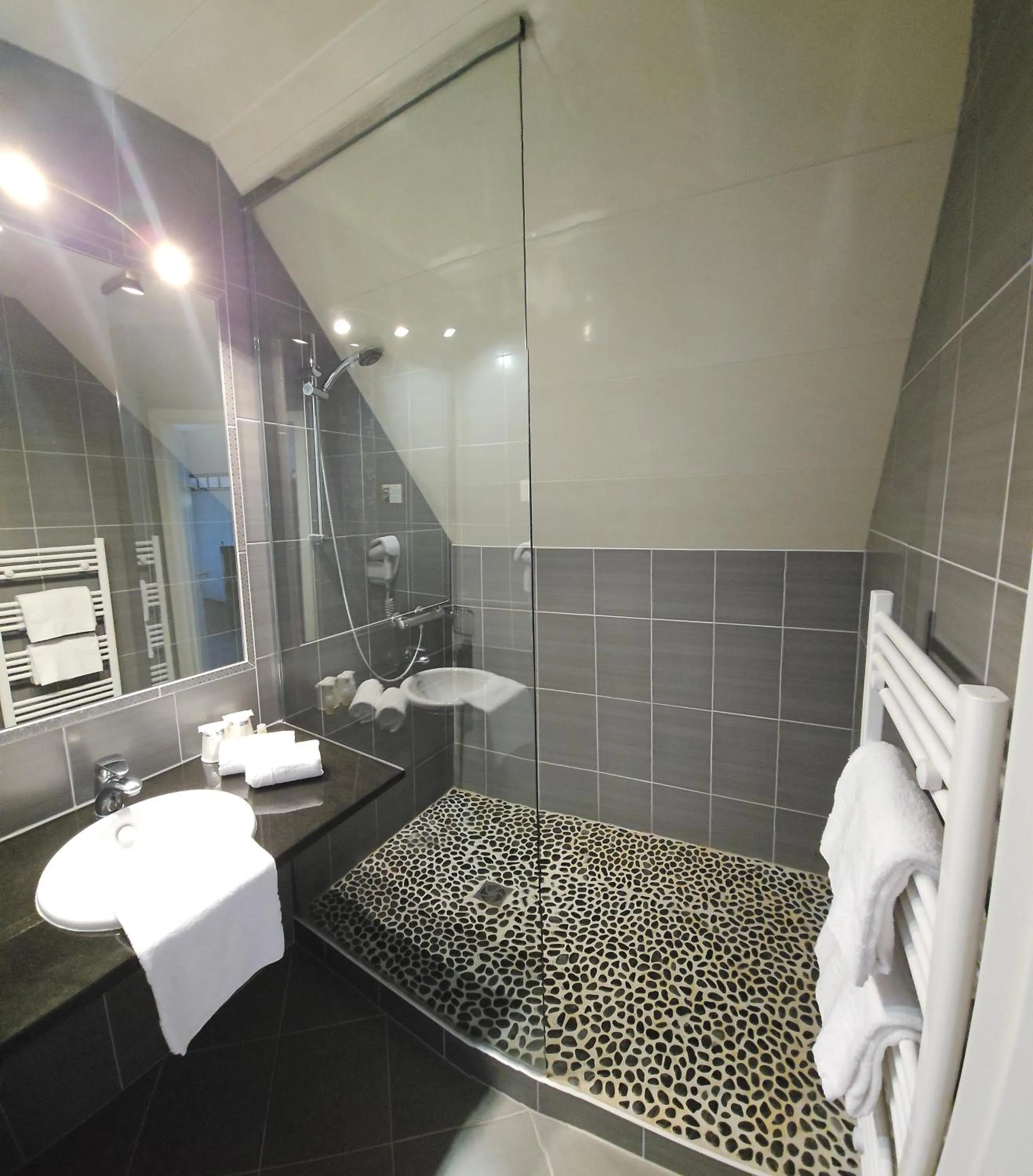 Bathroom in Hotel Restaurant Champ Alsace