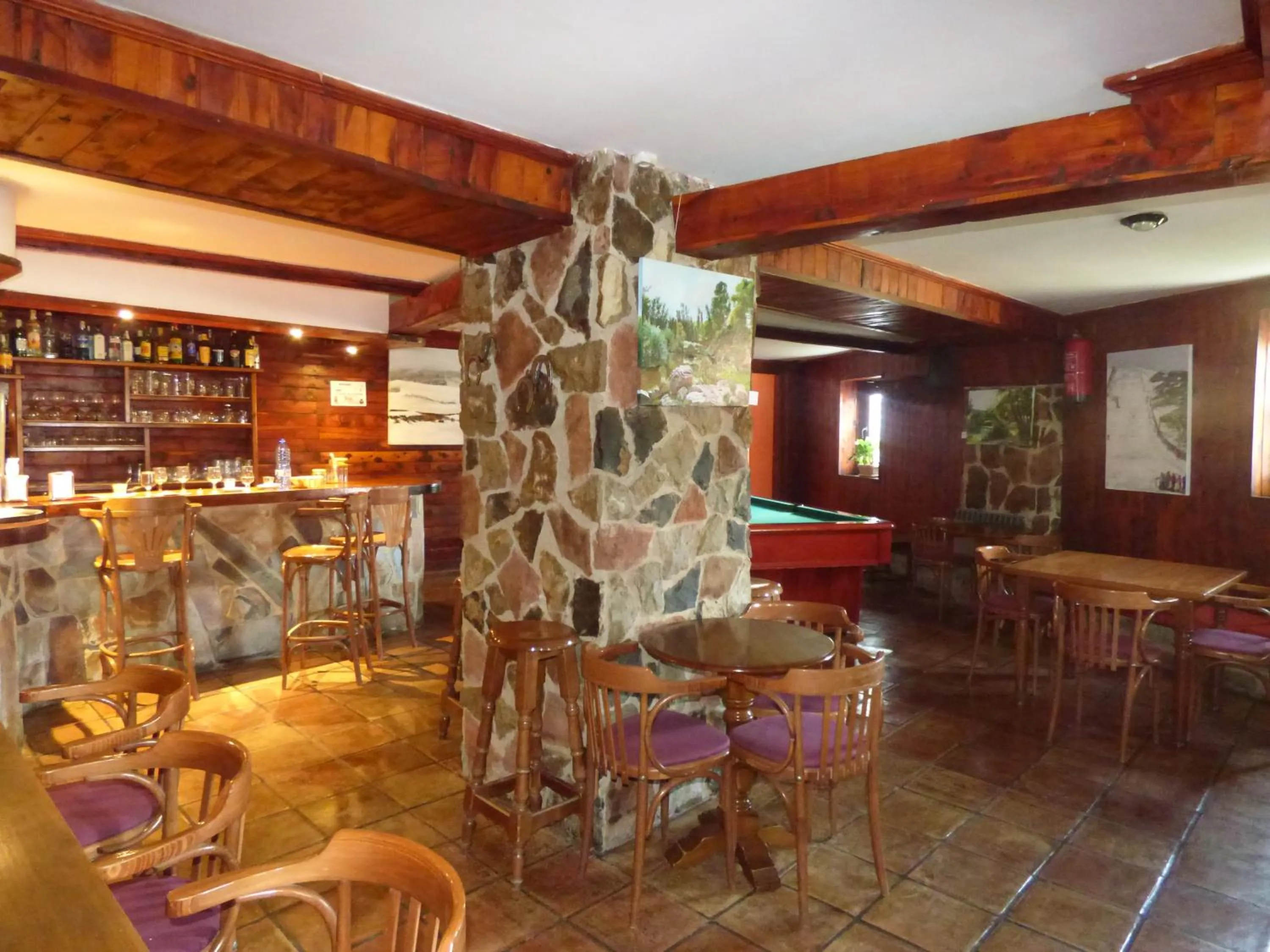 Lounge or bar in Hotel La Vega