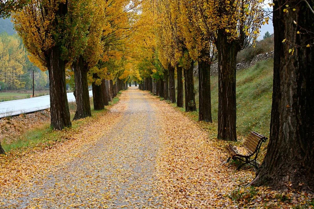 Autumn in Hotel La Vega