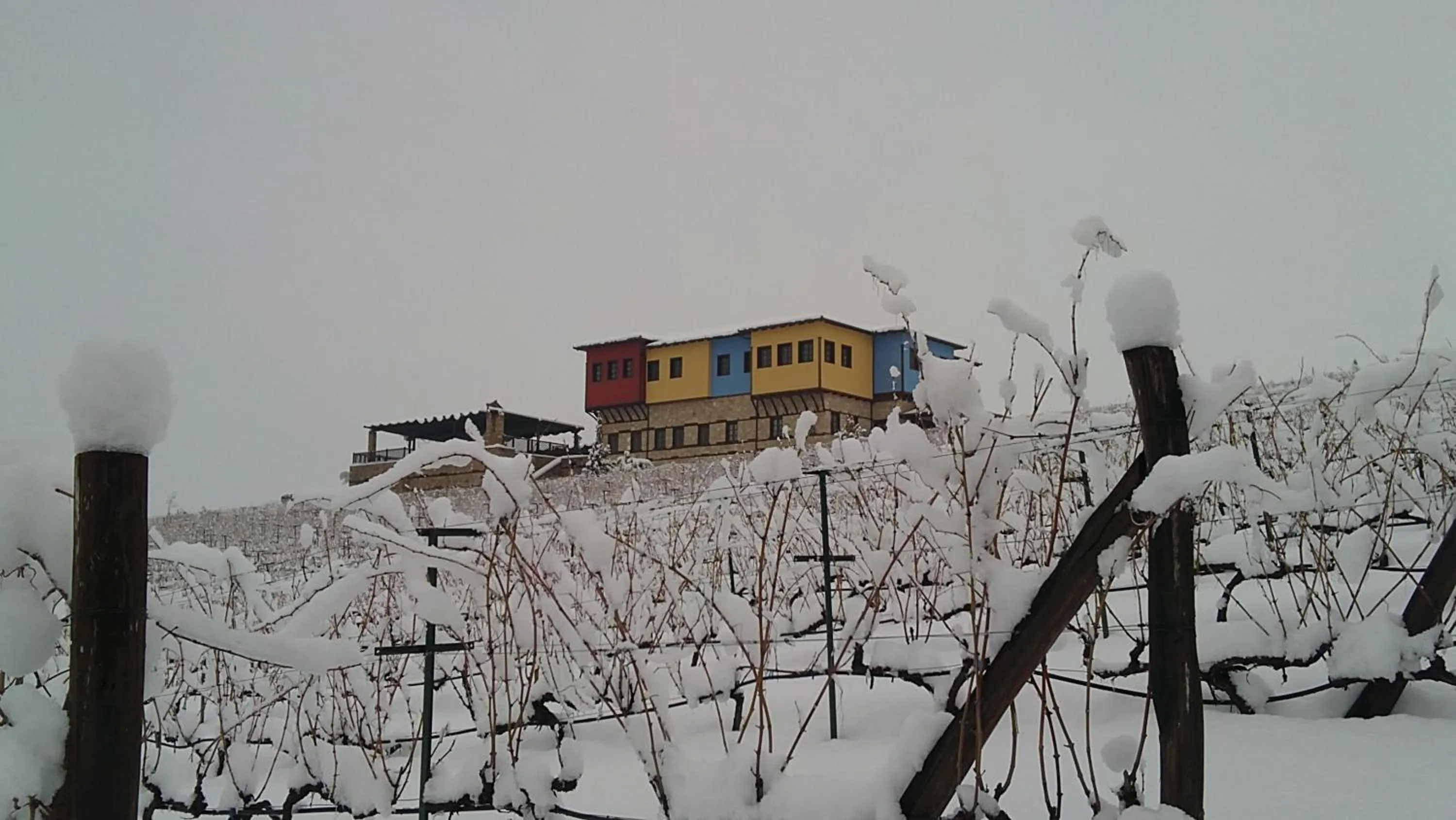 Facade/entrance in Estate Kalaitzis
