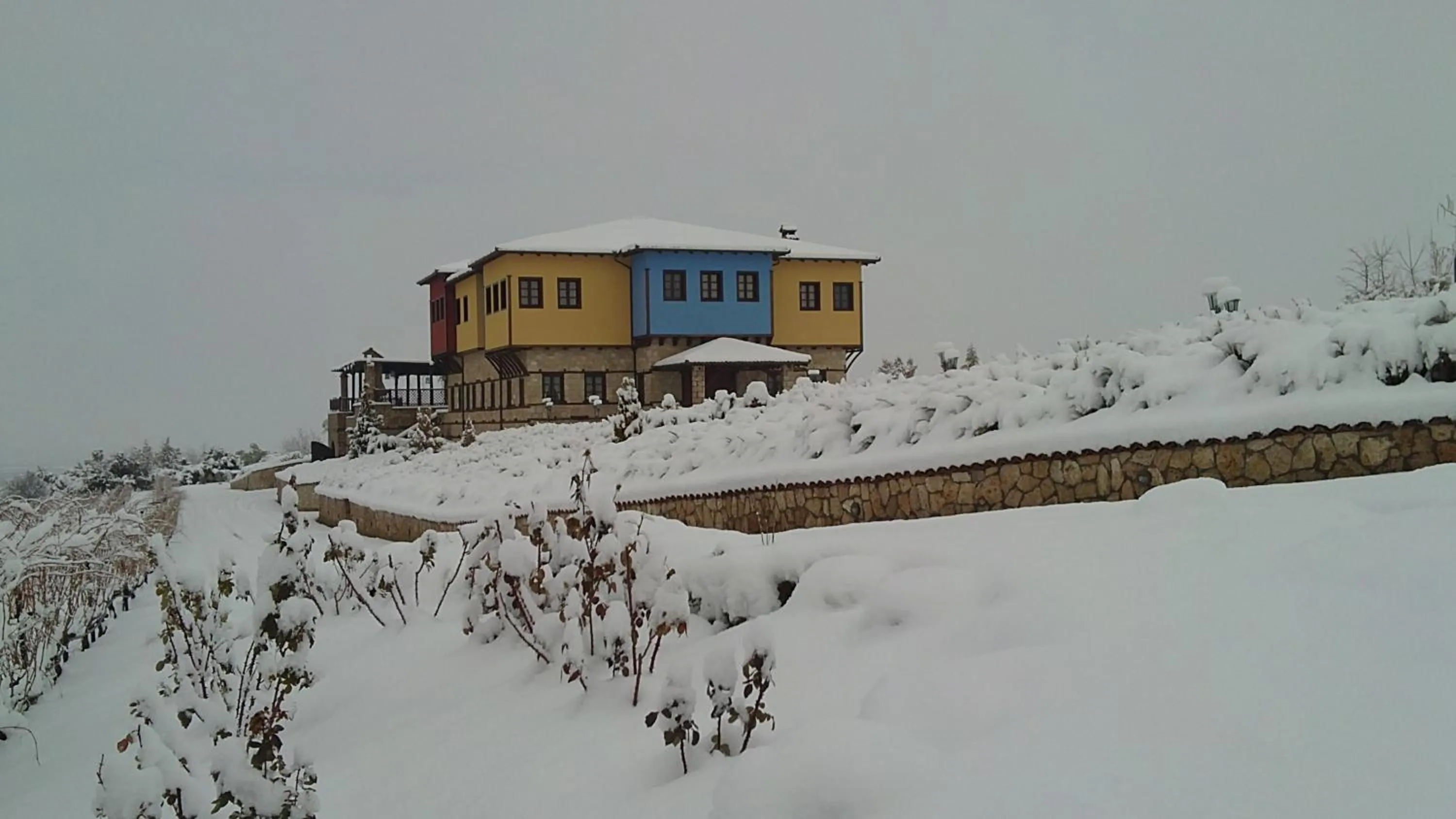 Garden view in Estate Kalaitzis