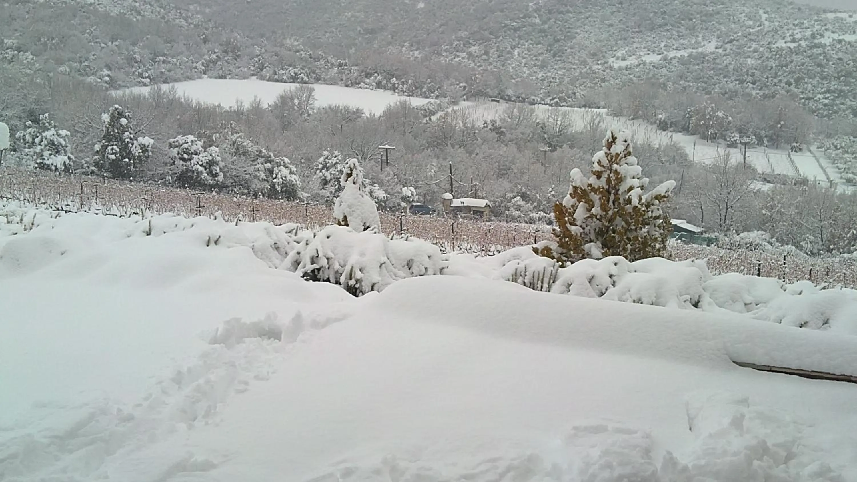 Day in Estate Kalaitzis