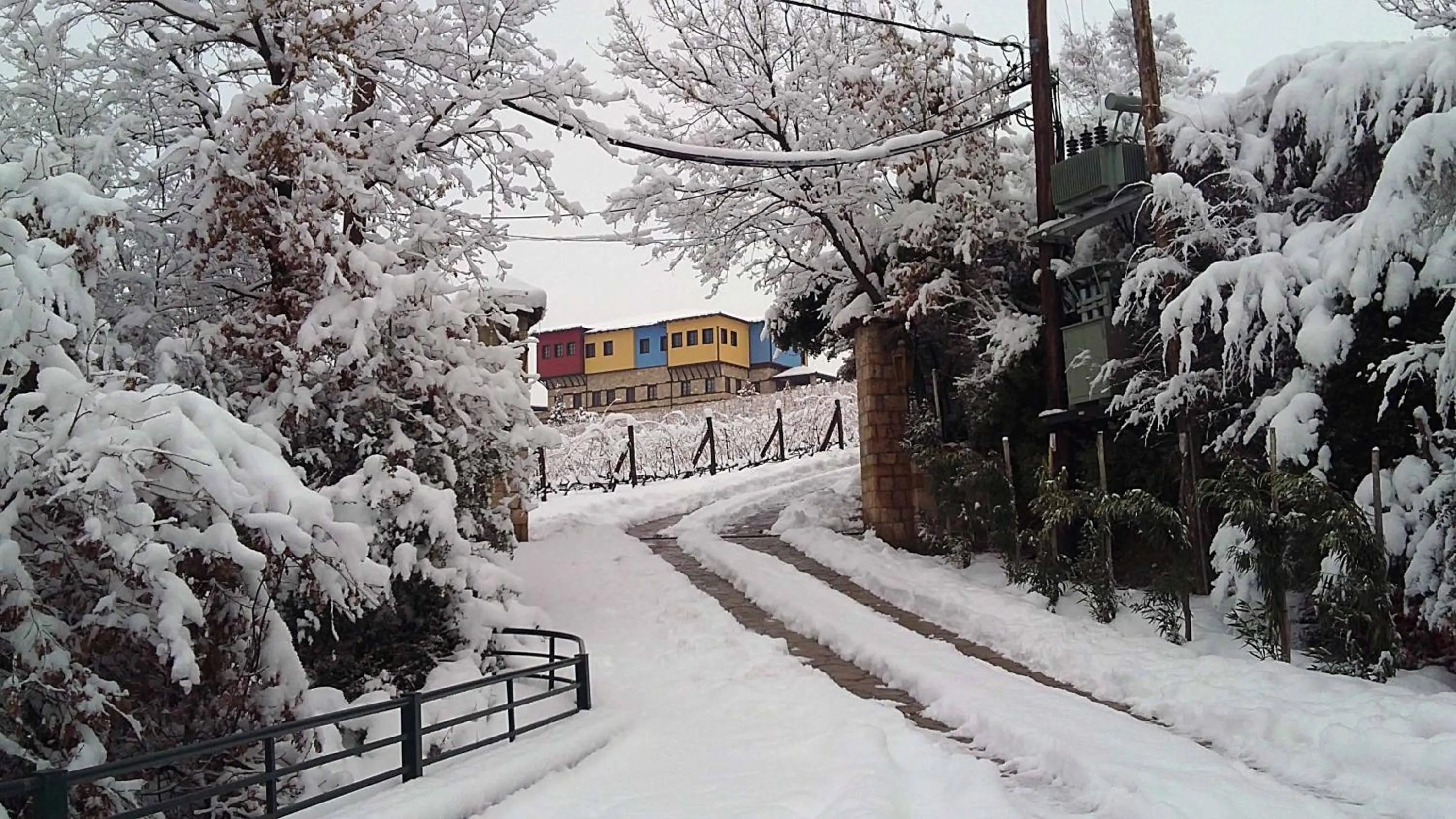 View (from property/room) in Estate Kalaitzis