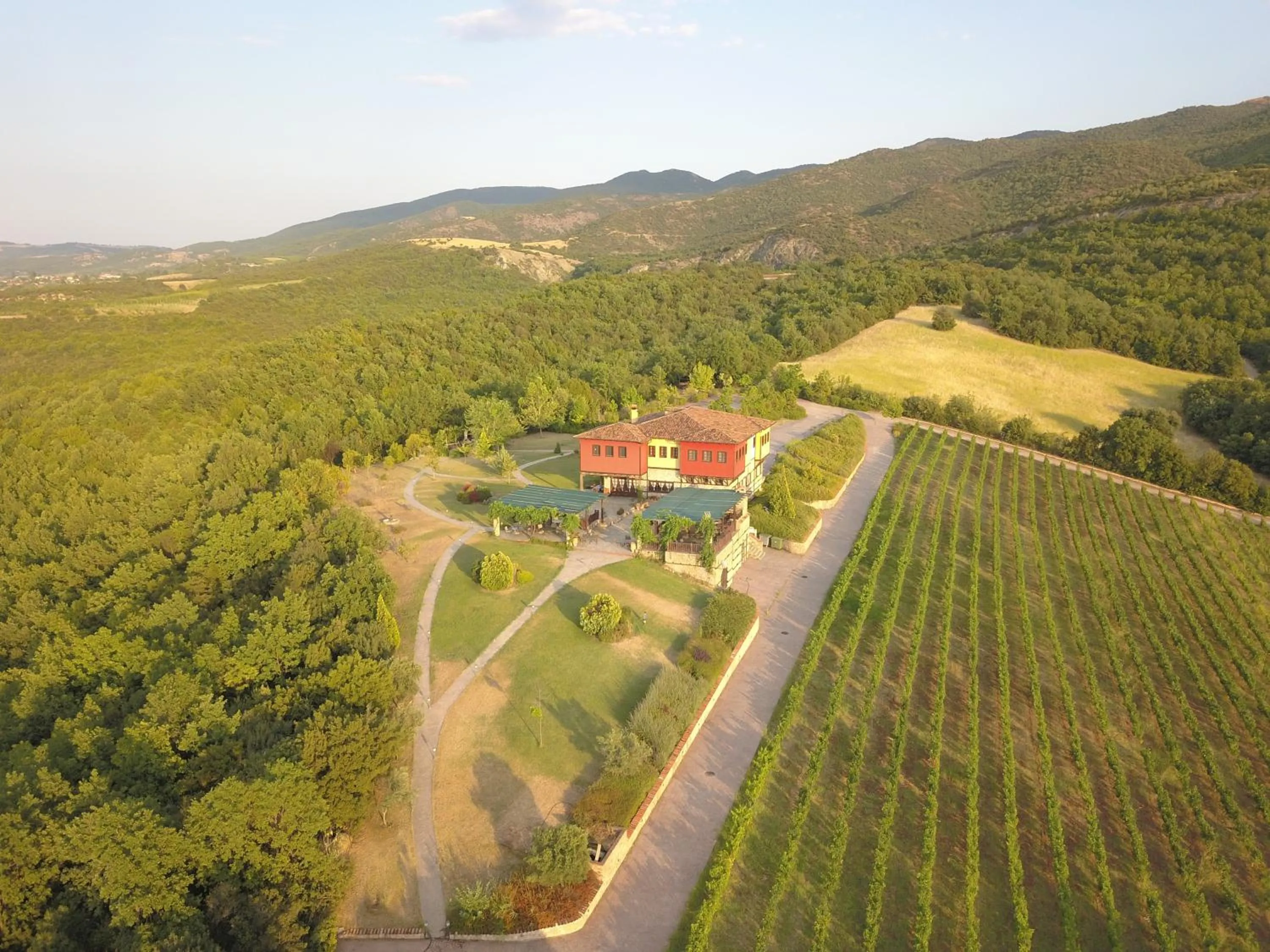 Bird's eye view in Estate Kalaitzis