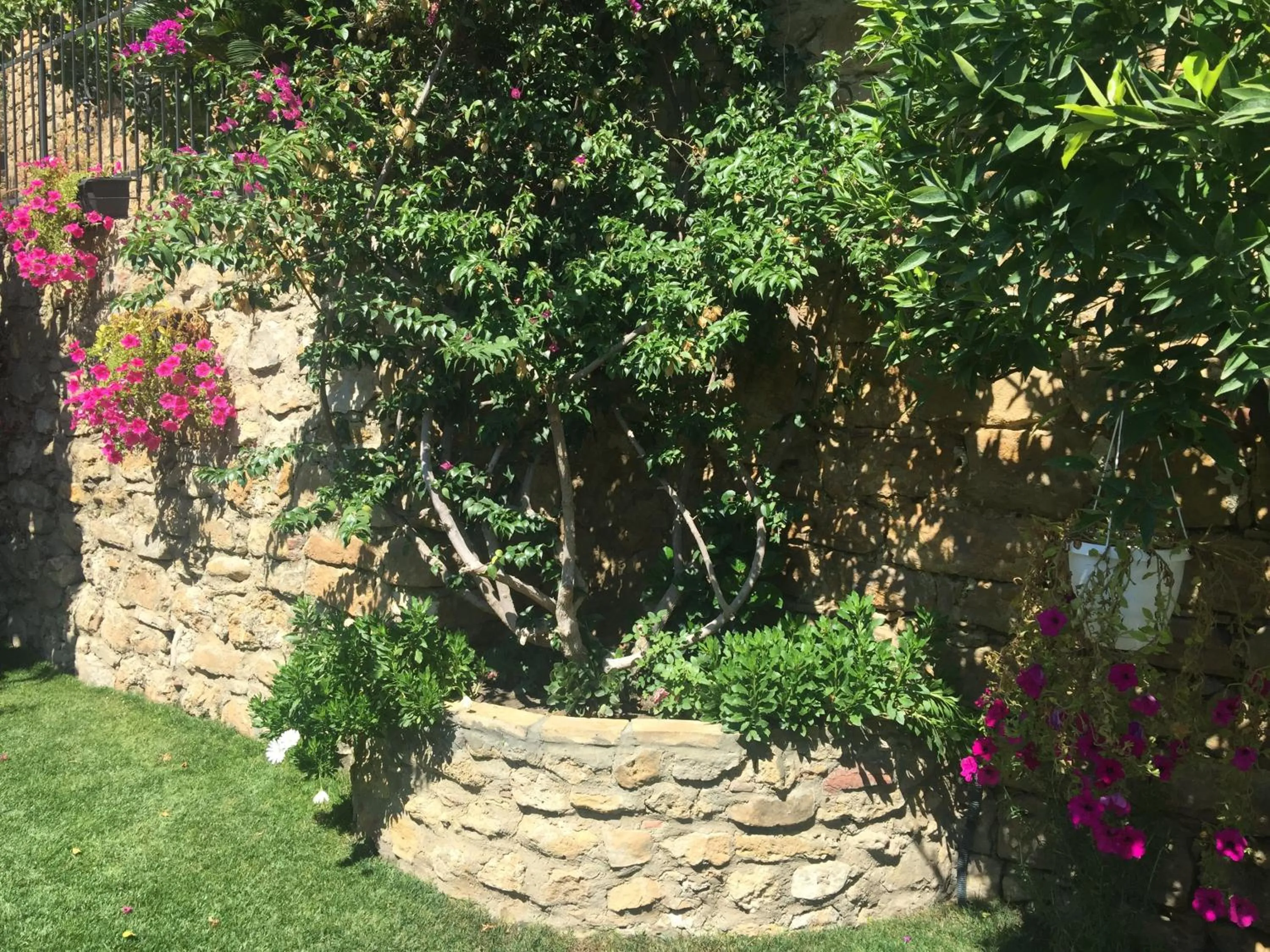 Garden in Giardino delle Zagare