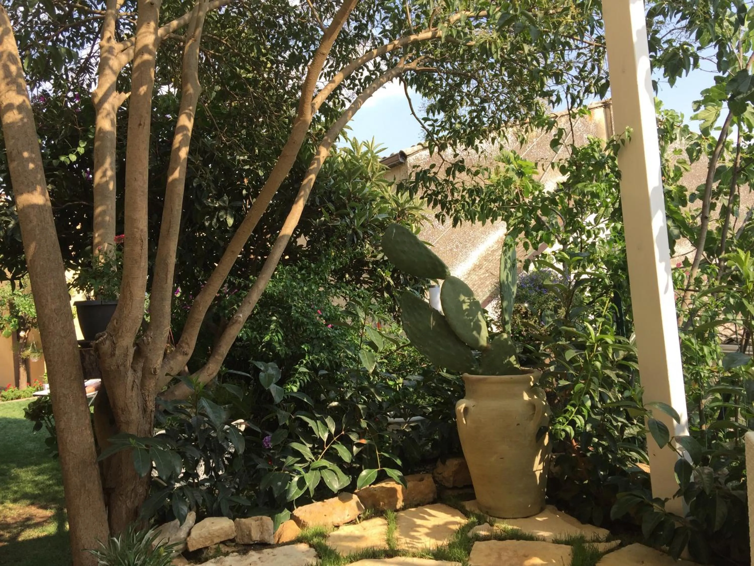 Garden in Giardino delle Zagare