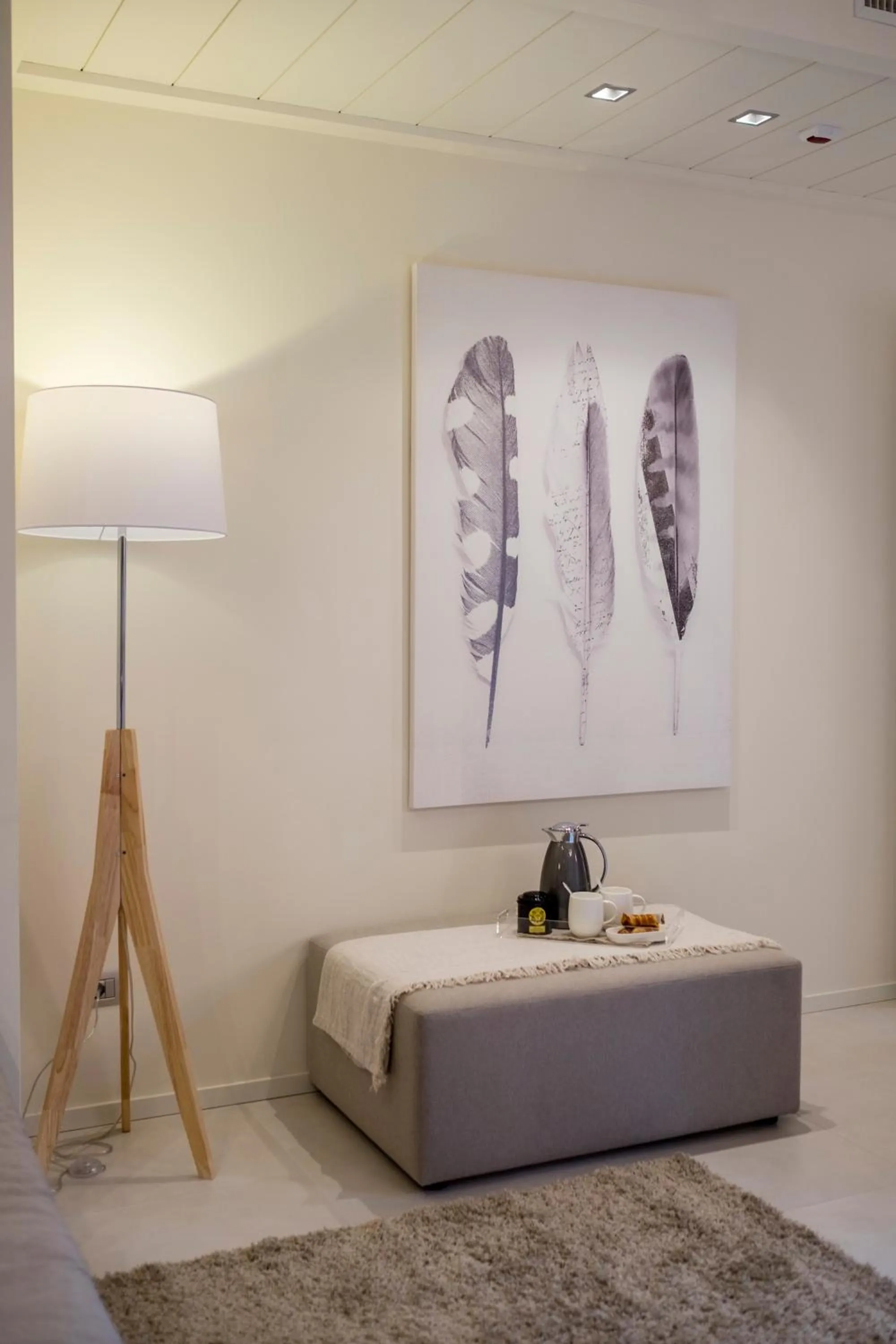 Area and facilities in Metropol Ceccarini Suite - Luxury apartments