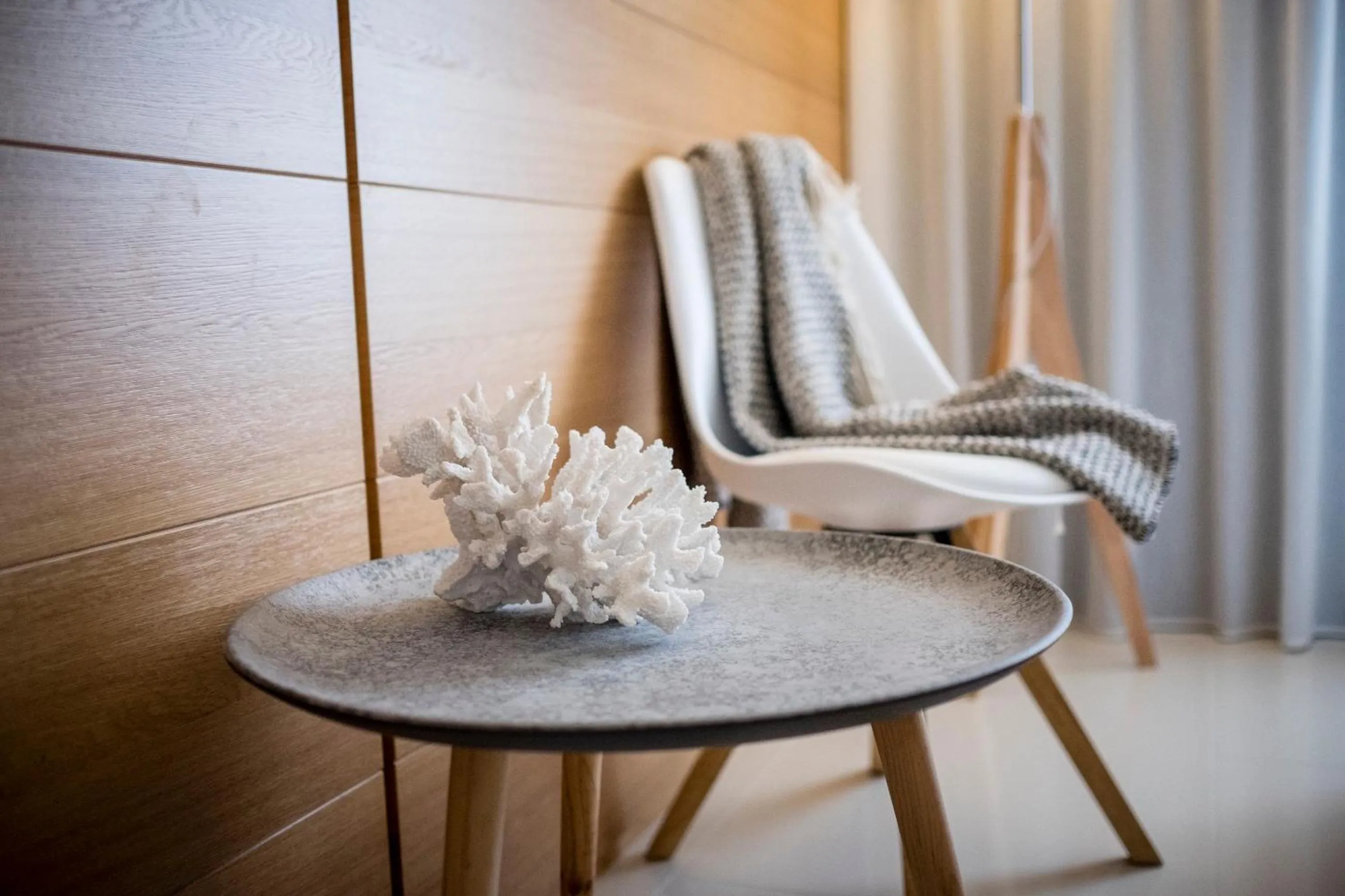 Area and facilities in Metropol Ceccarini Suite - Luxury apartments