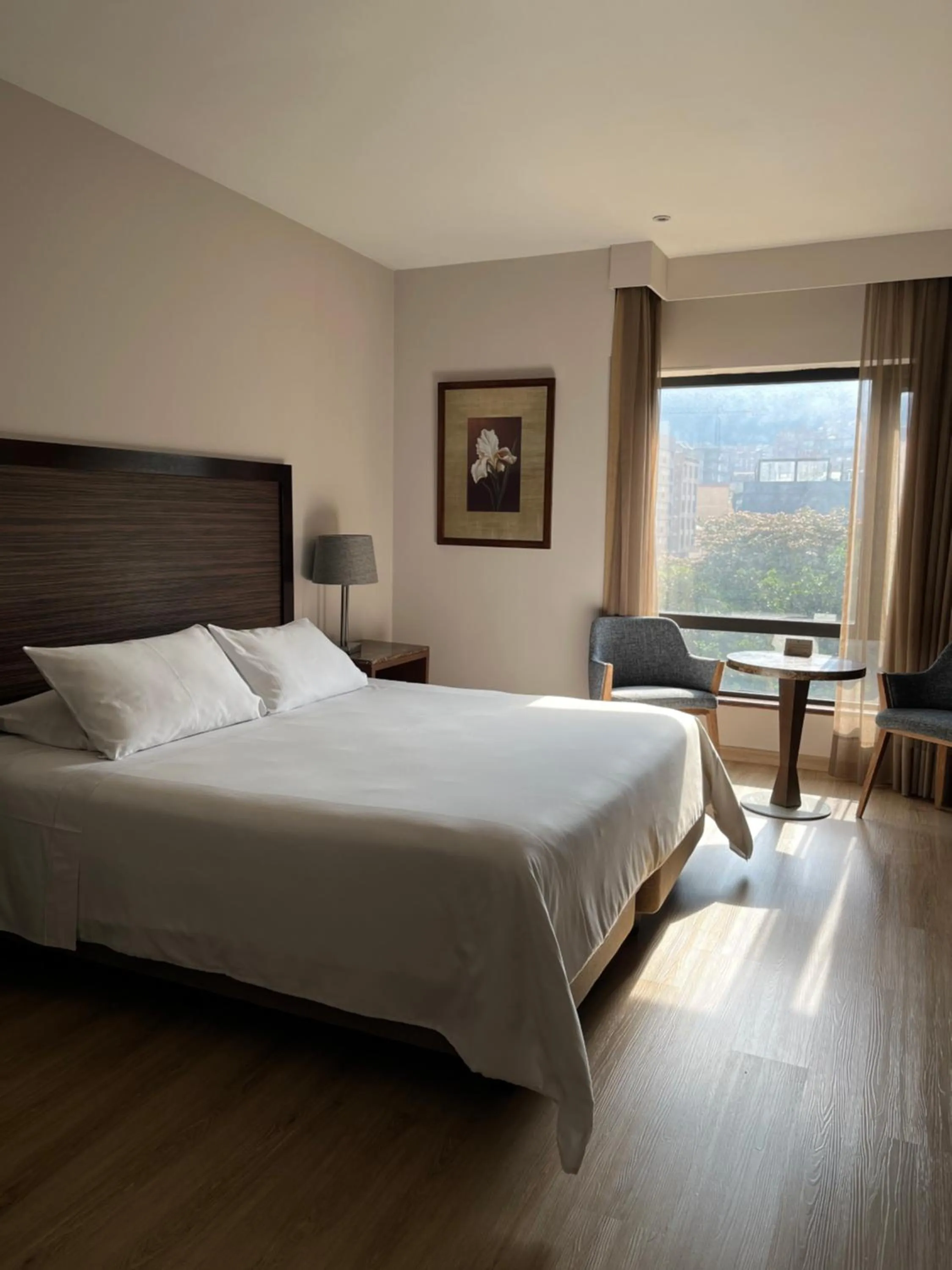 Bedroom, Bed in Hotel Morrison Zona Rosa