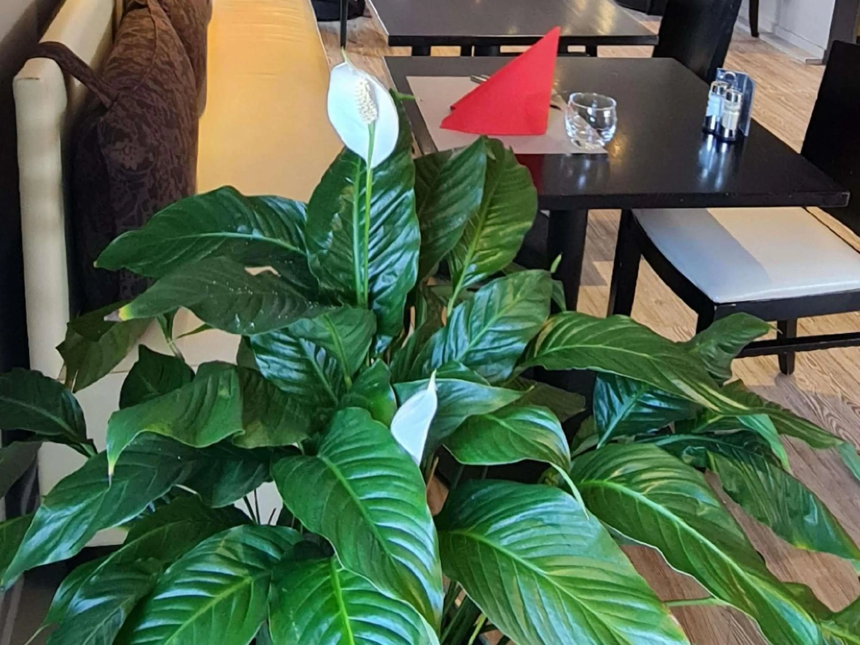 Property building in ibis Vannes