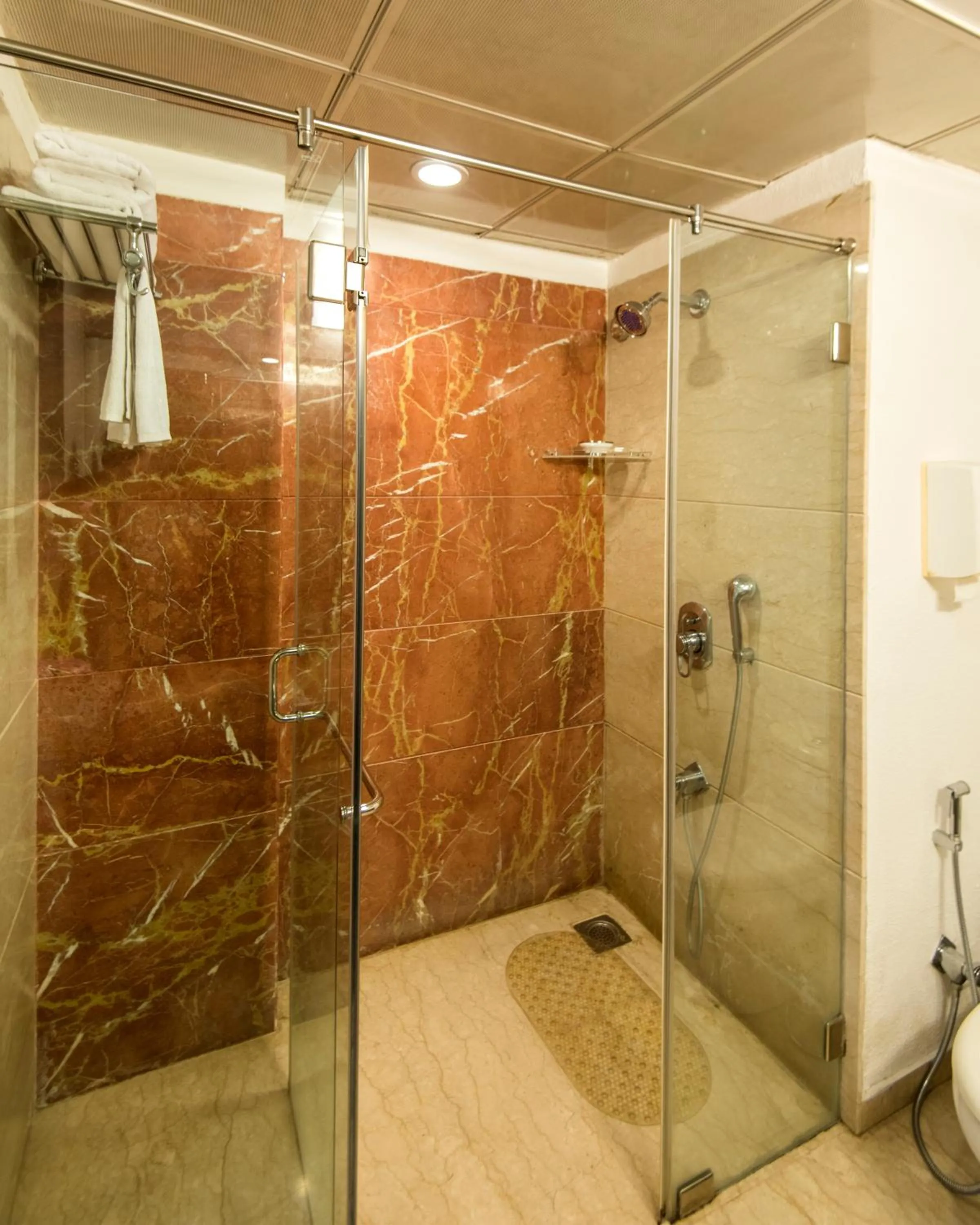Shower in Park Ornate Hotel Viman Nagar