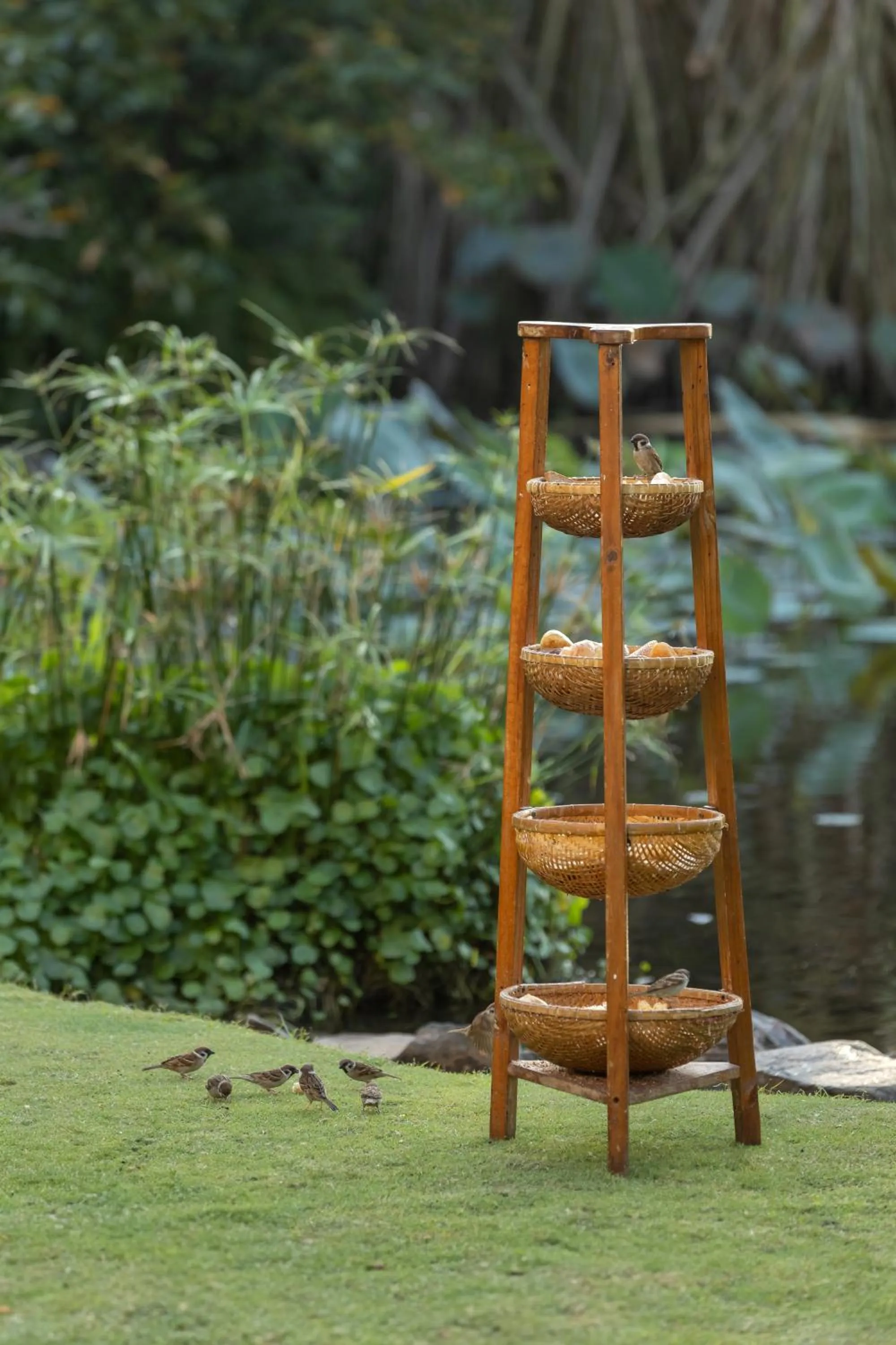 Garden view in Anantara Mui Ne Resort