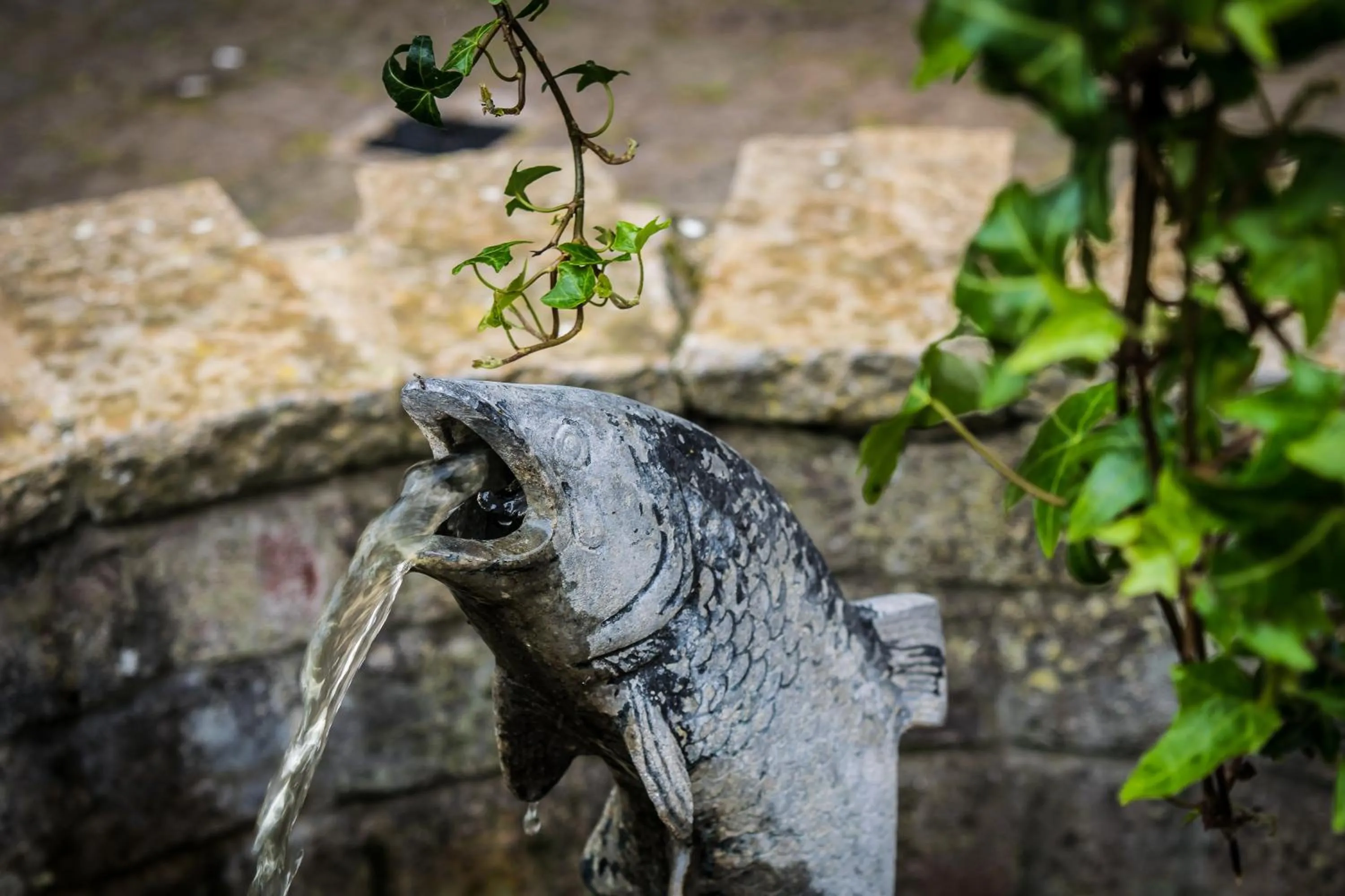 Landmark view in The Cottage Hotel