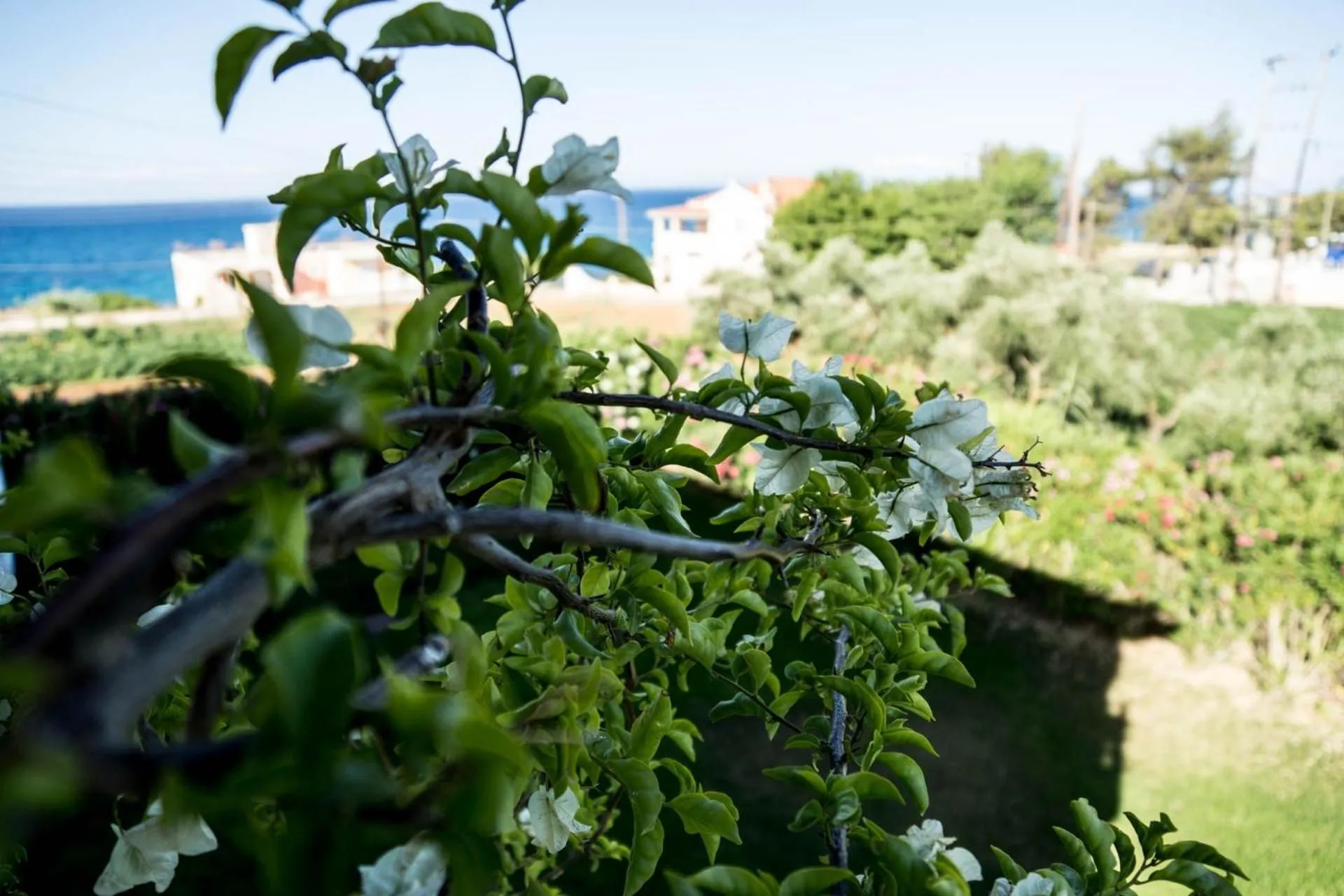 Sea view in Studios Petra