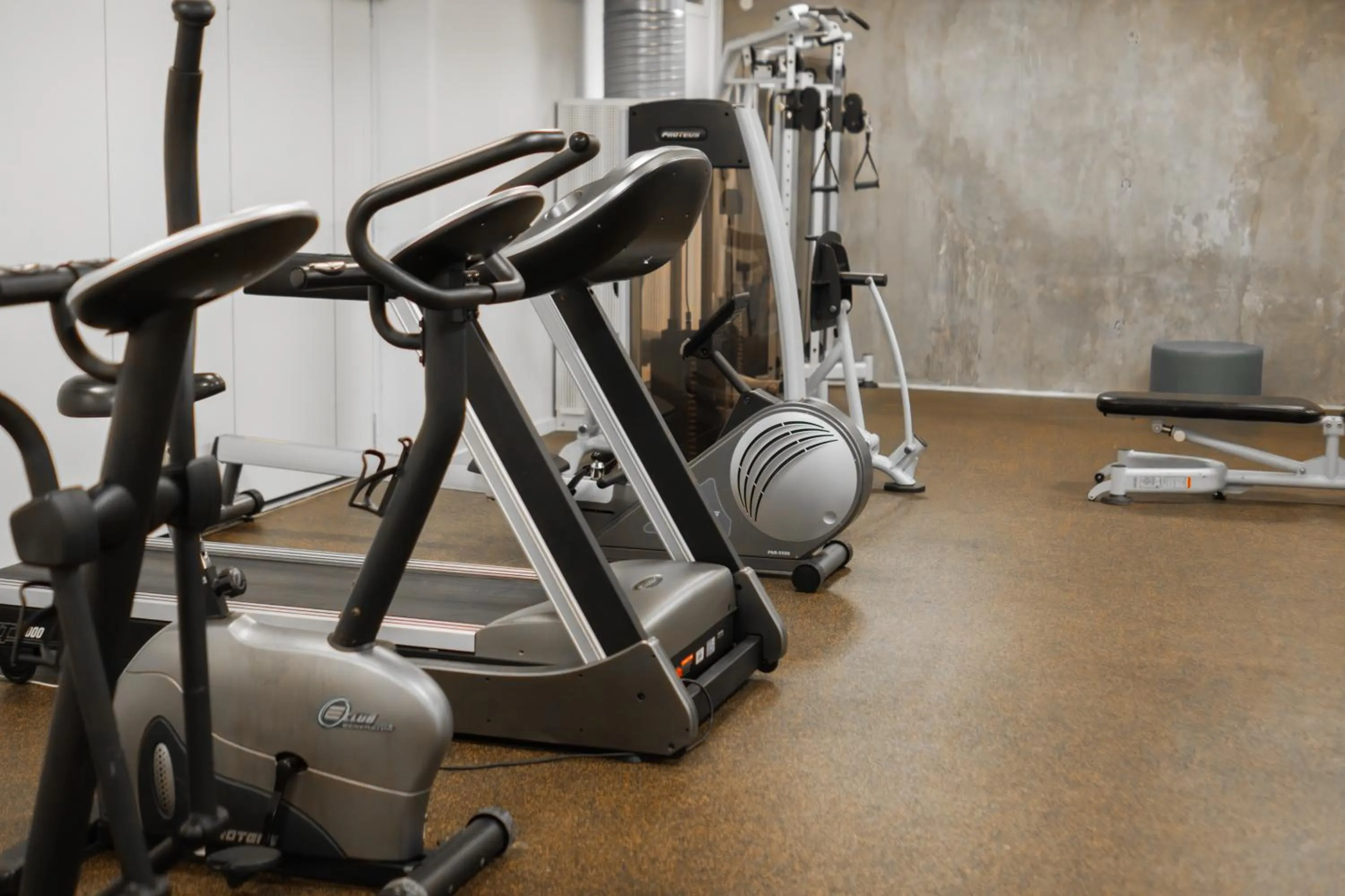 Fitness centre/facilities in Best Western Plus Park Globetrotter Copenhagen Airport
