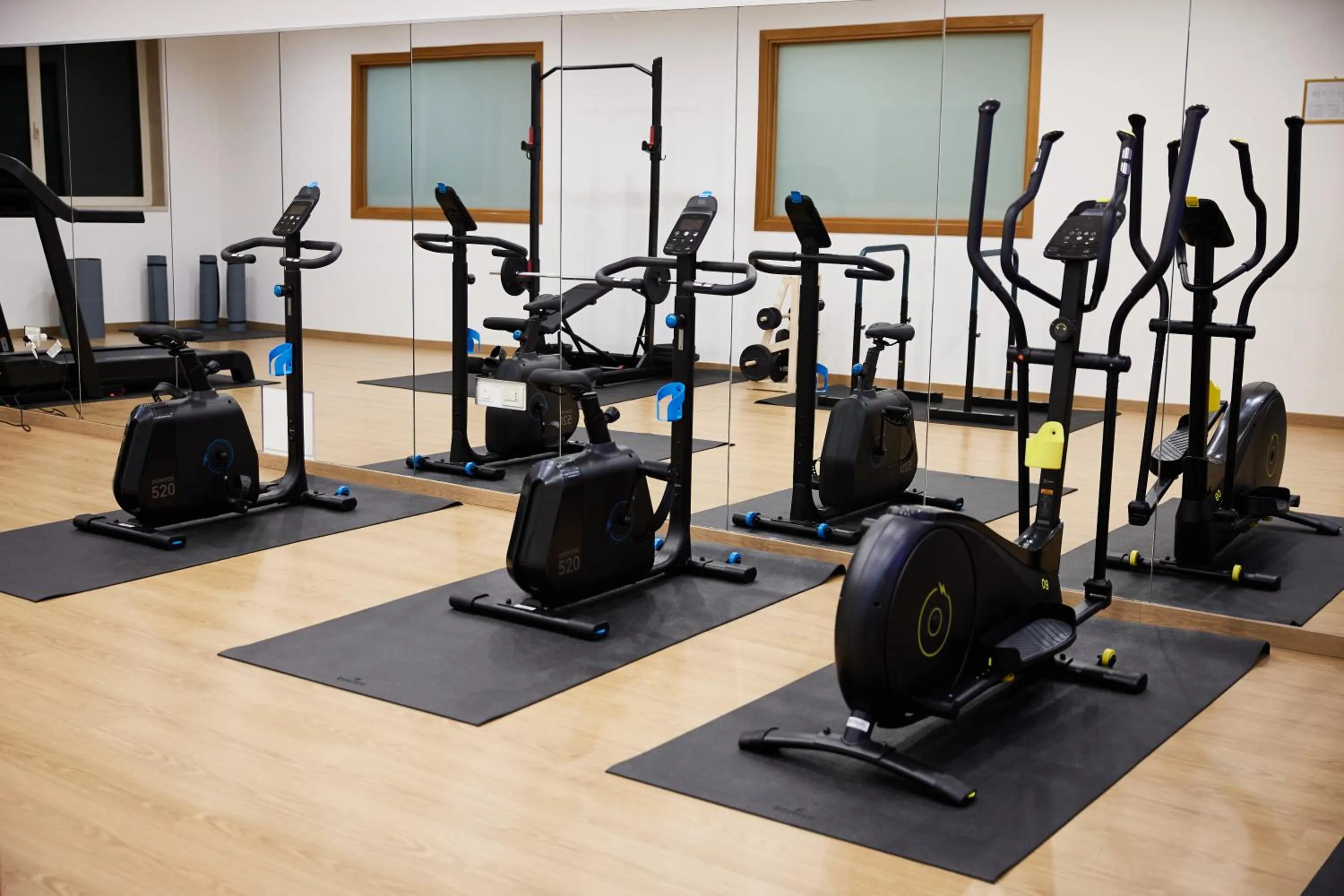 Fitness centre/facilities in Appia Antica Hotel