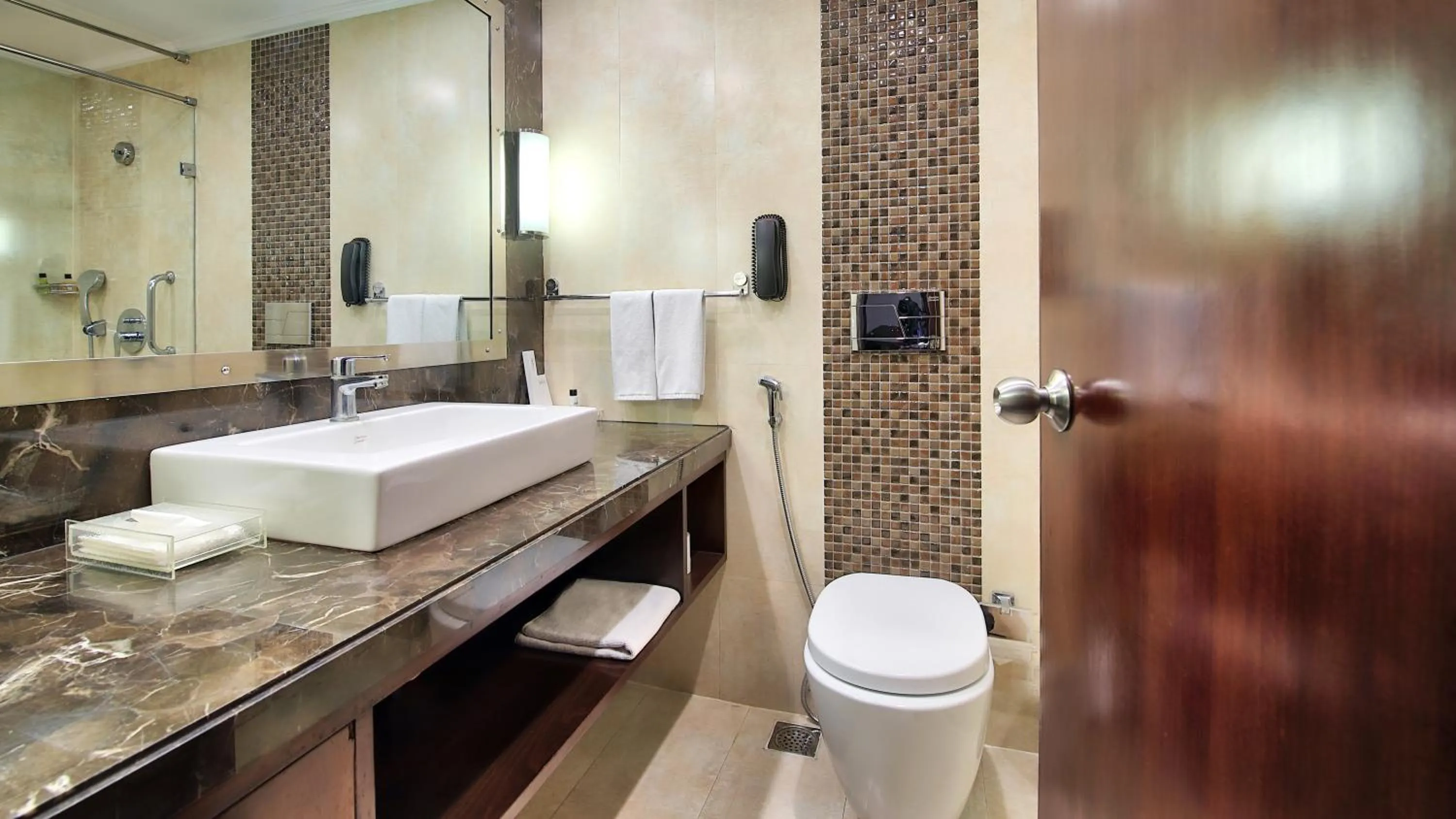 Bathroom in Radisson Jaipur City Center