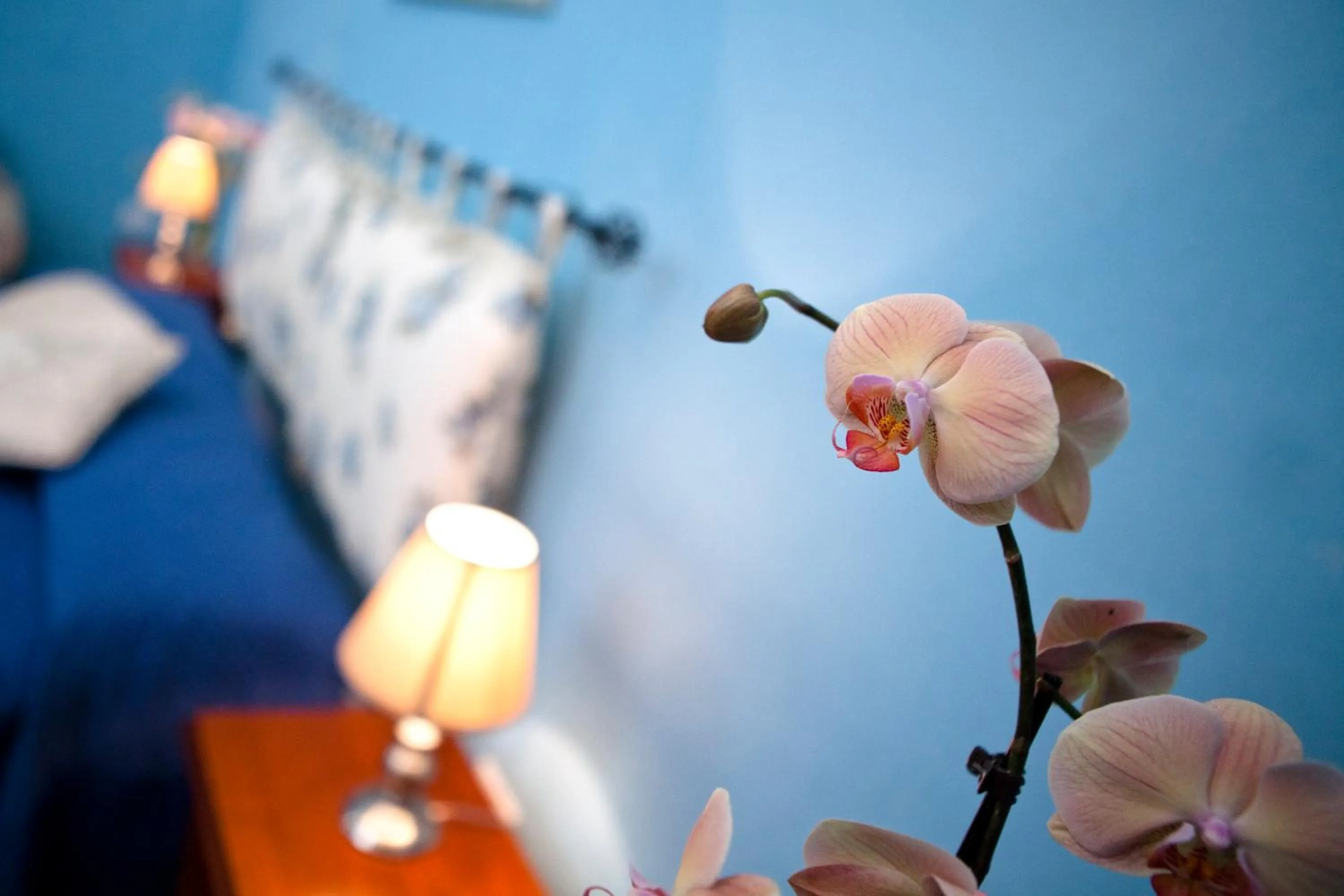 Other, Bed in B&B Dimora San Vincenzo