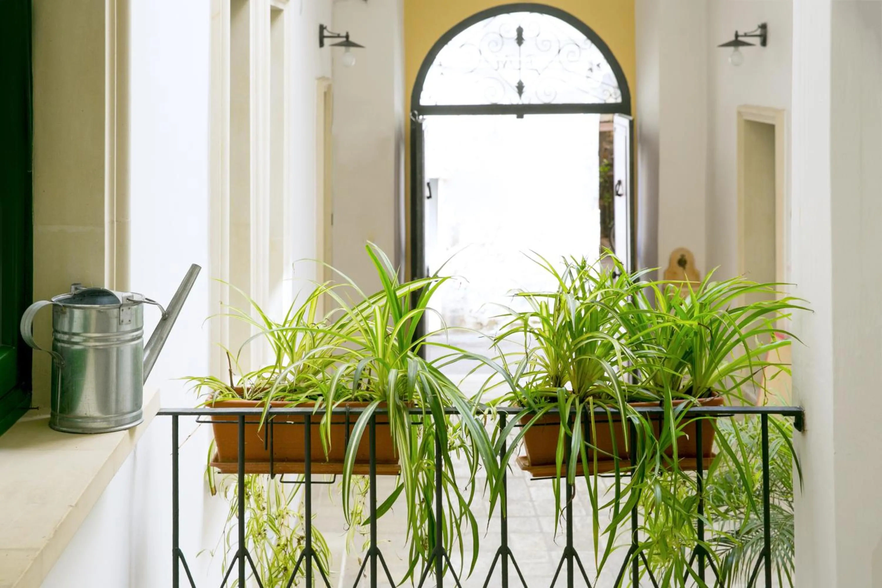 Facade/entrance in B&B Dimora San Vincenzo