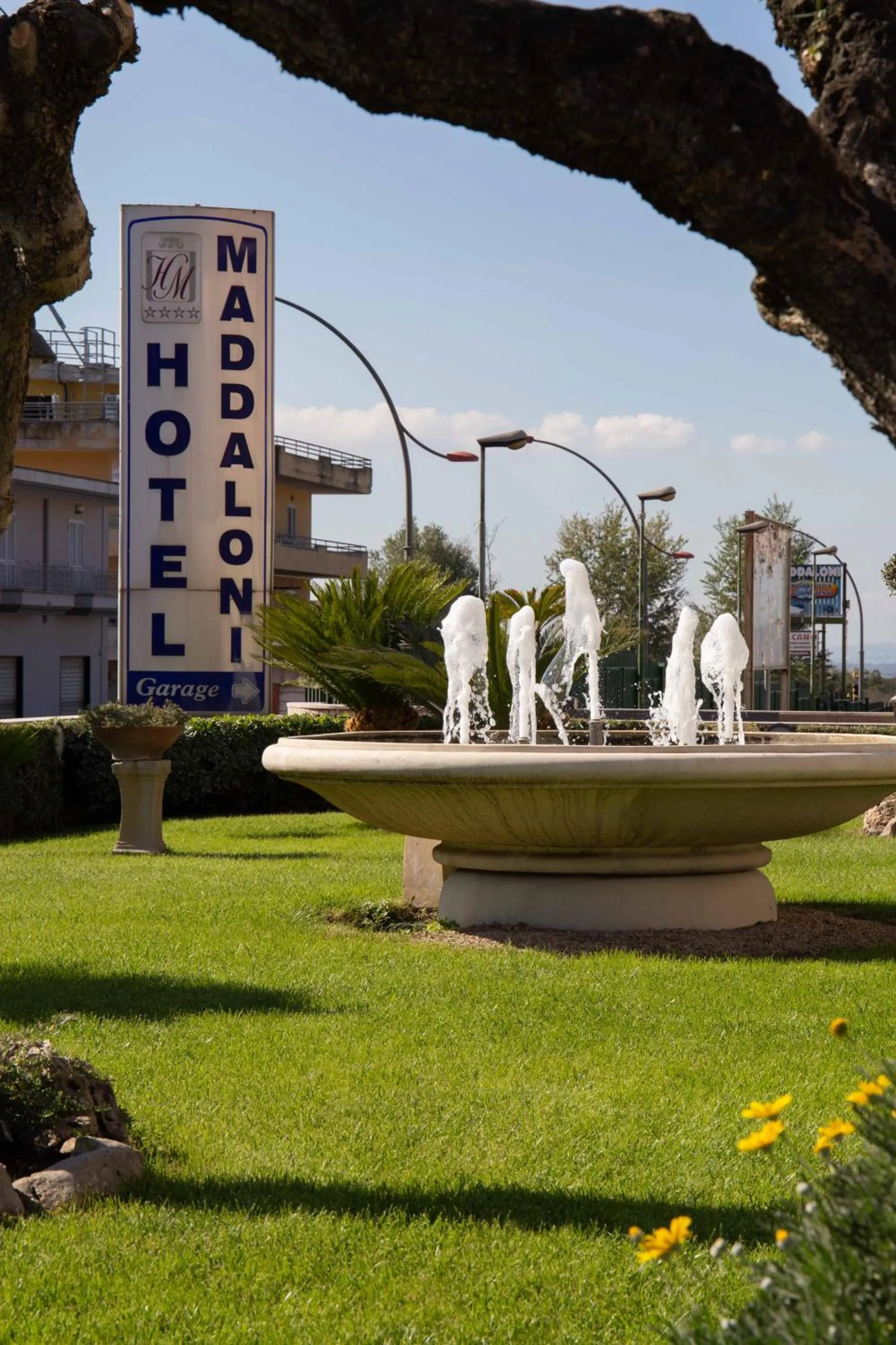 Garden view in Hotel Maddaloni