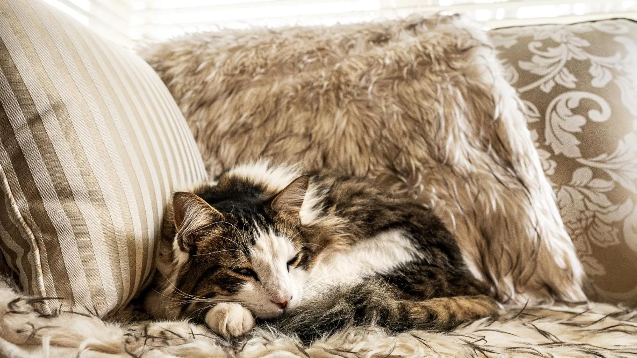 Glencoe Country Bed and Breakfast