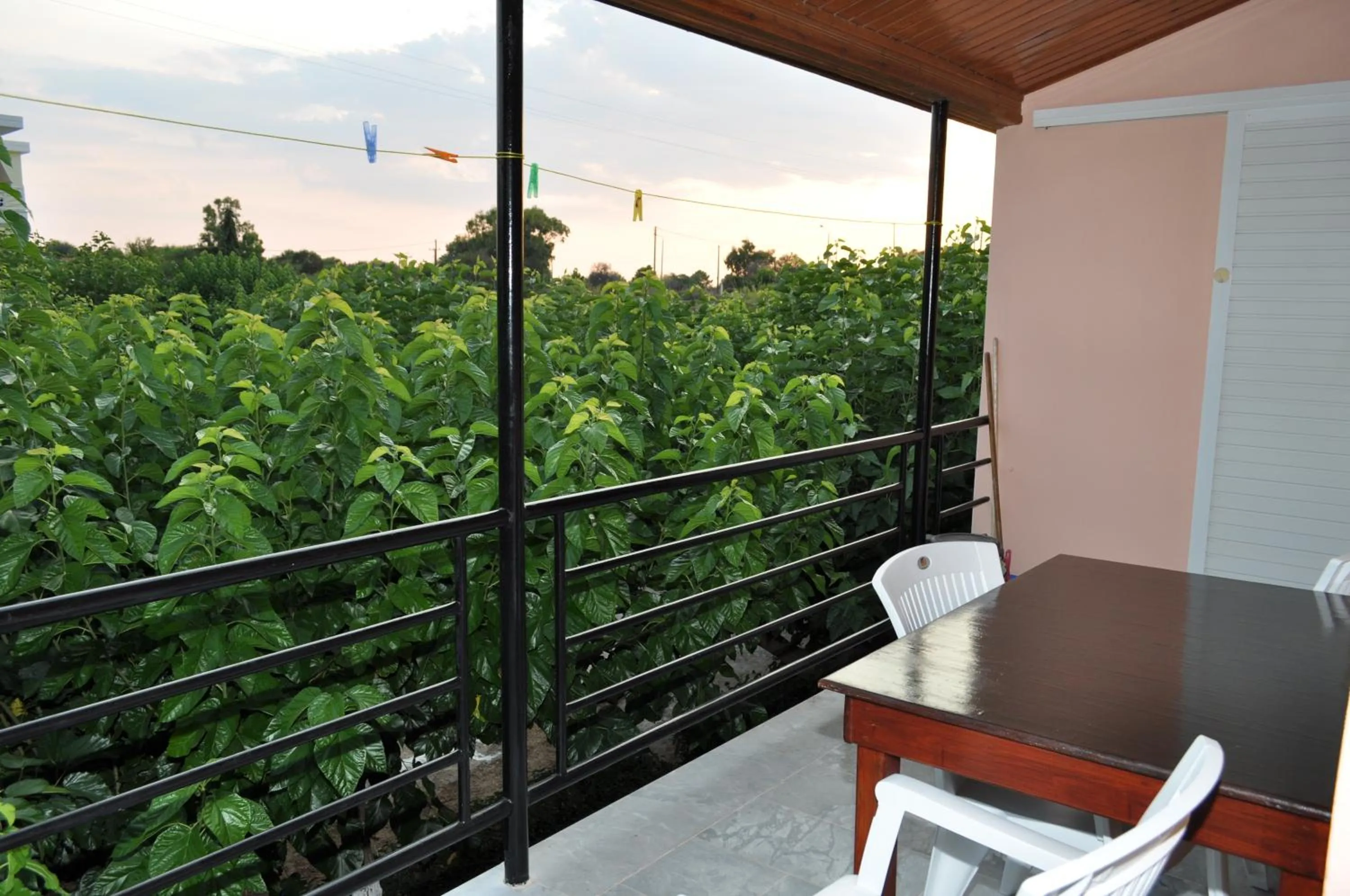 Day in Olympion Village Studios