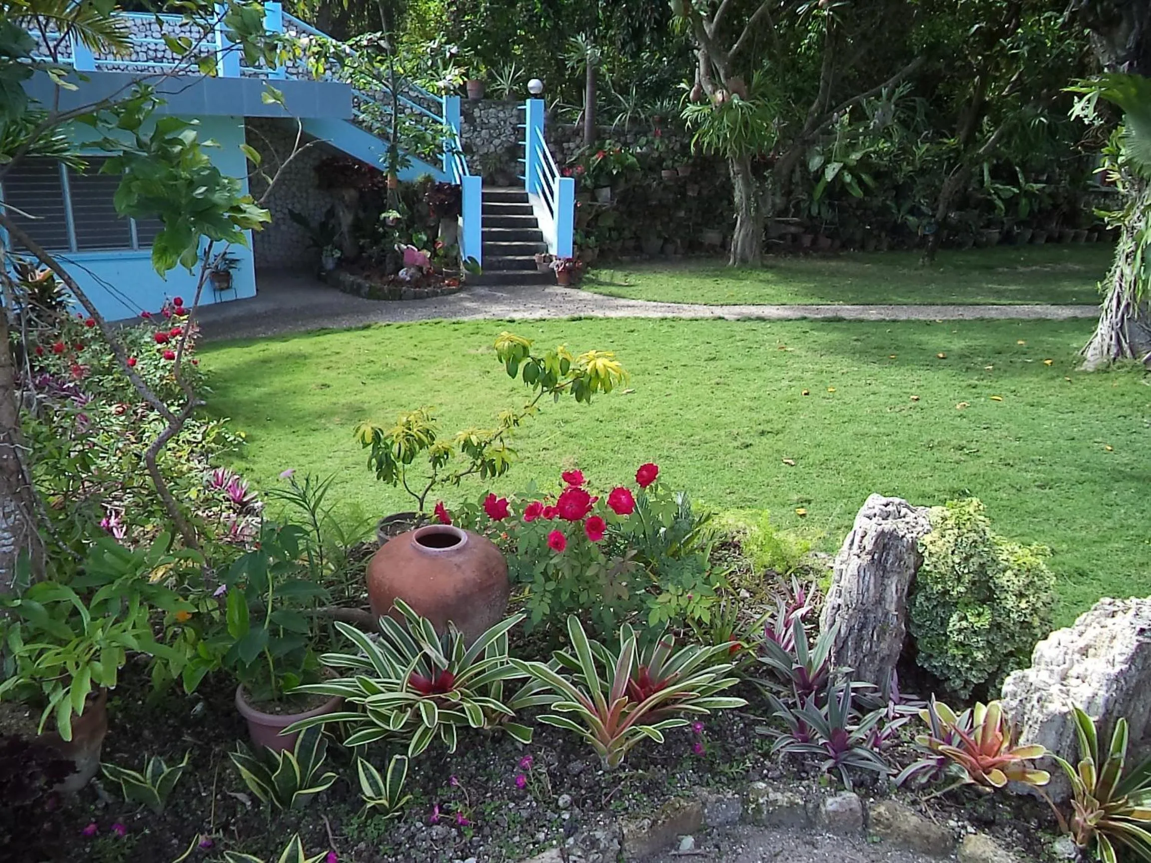 Garden view in High Steps Pension