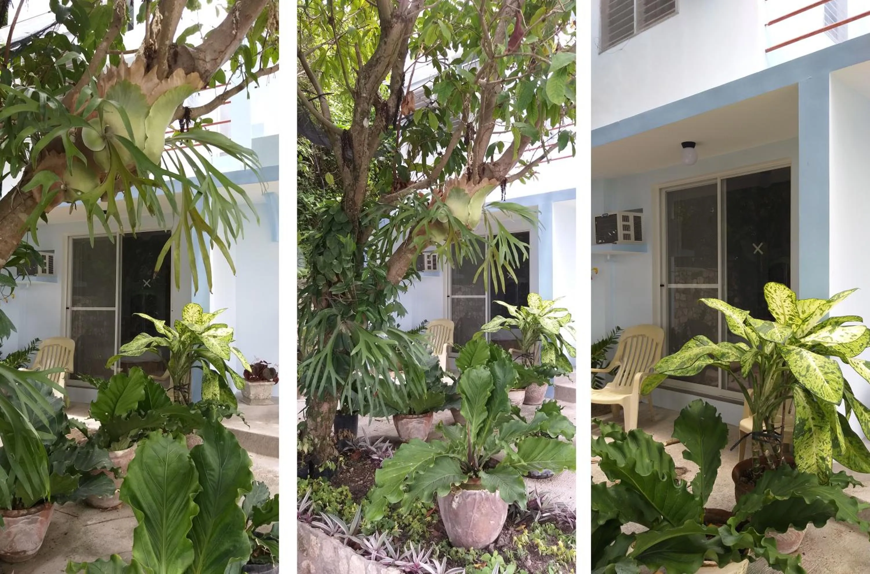 Facade/entrance in High Steps Pension