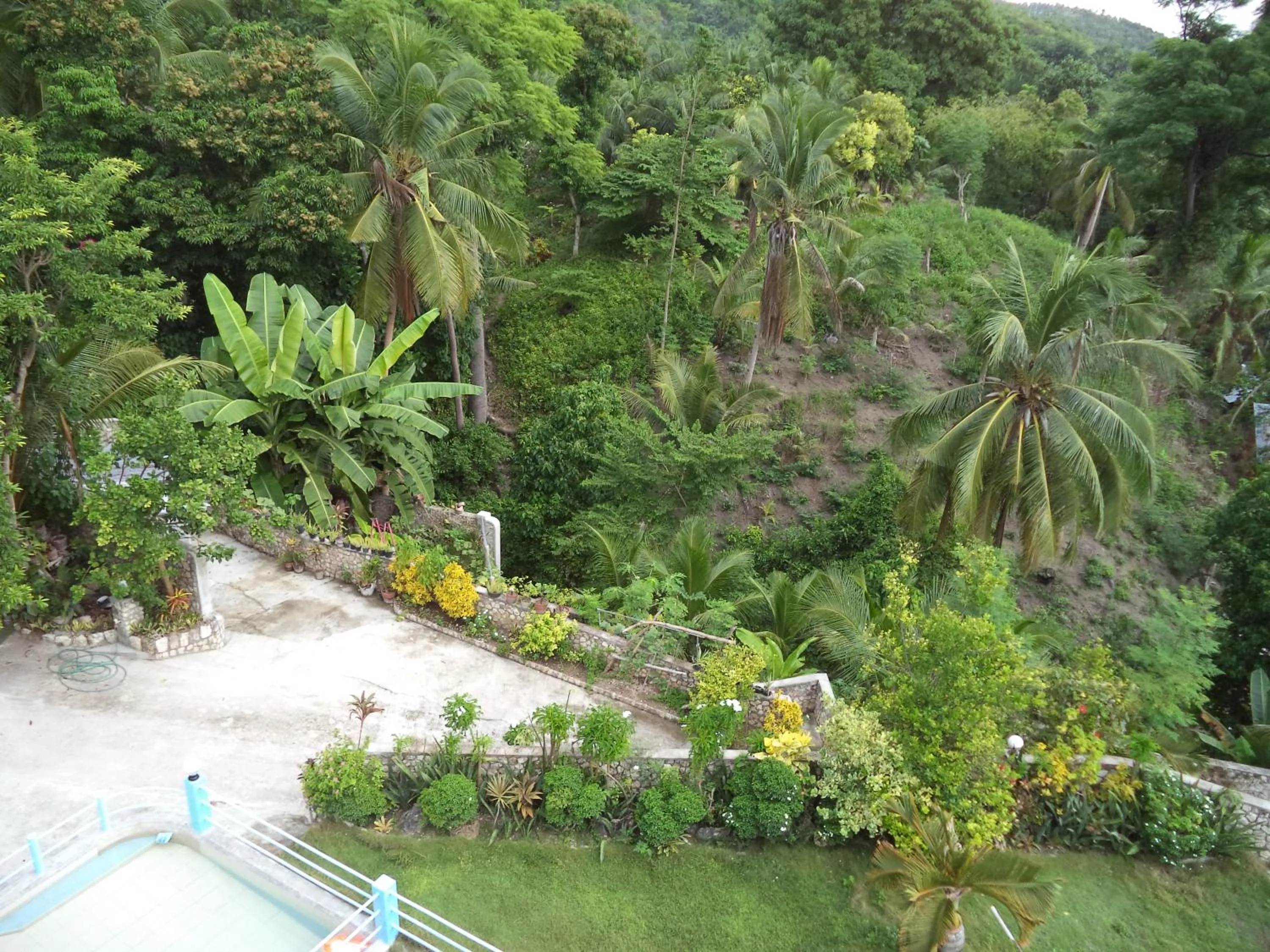 Garden in High Steps Pension