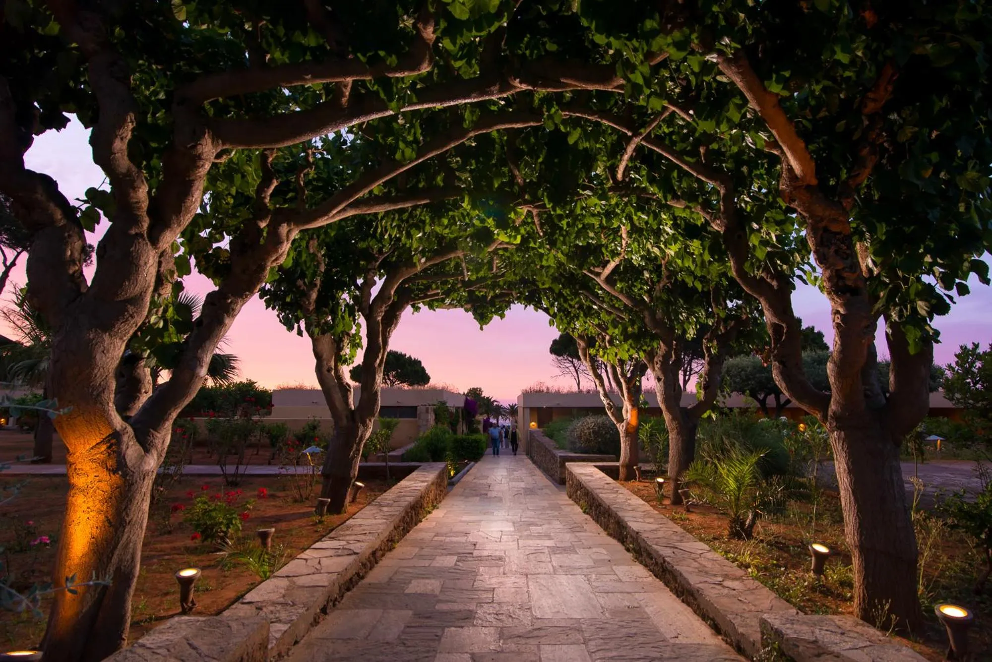 Patio in Kernos Beach Hotel & Bungalows
