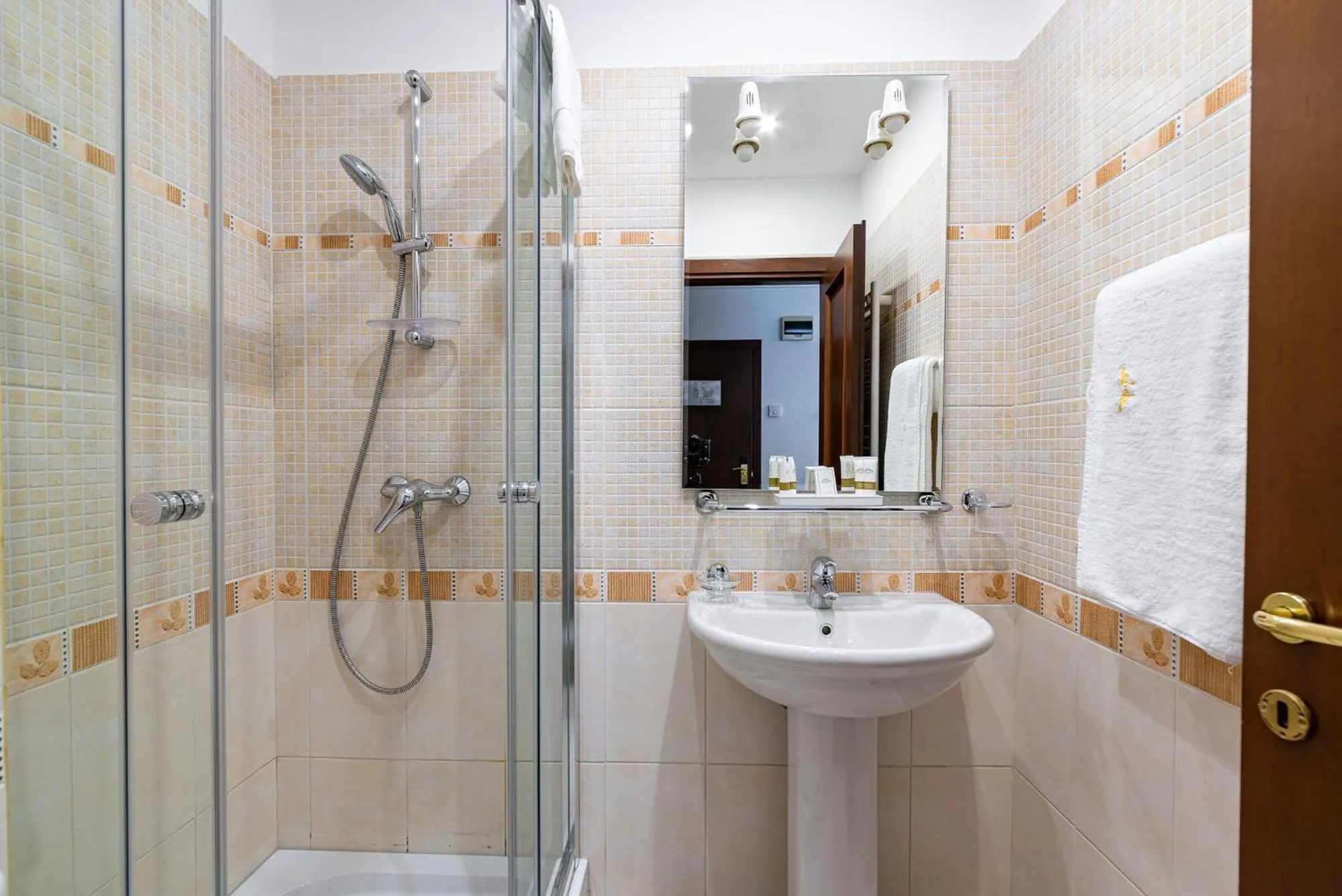 Shower in Hotel Regal