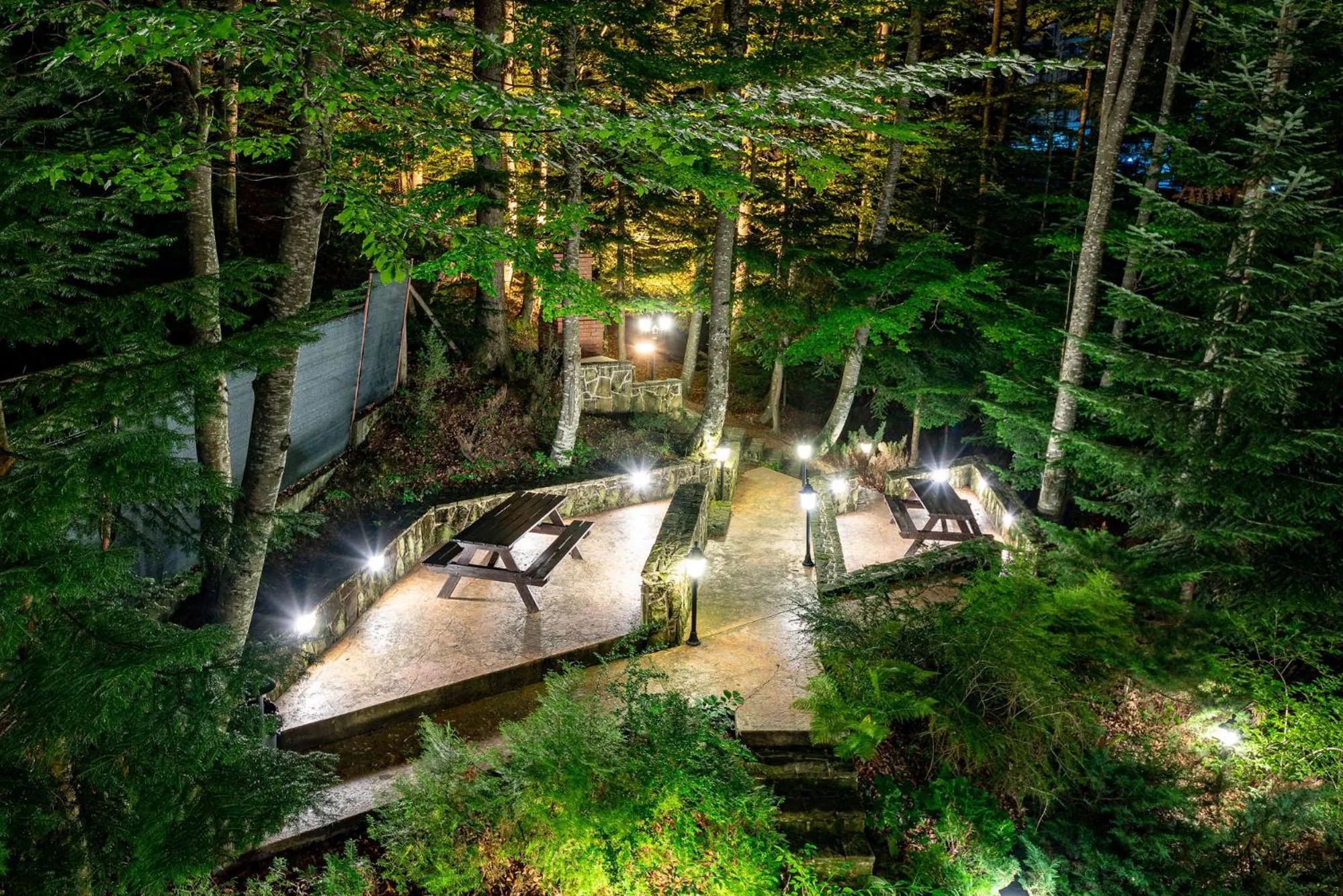 Garden view in Hotel Regal