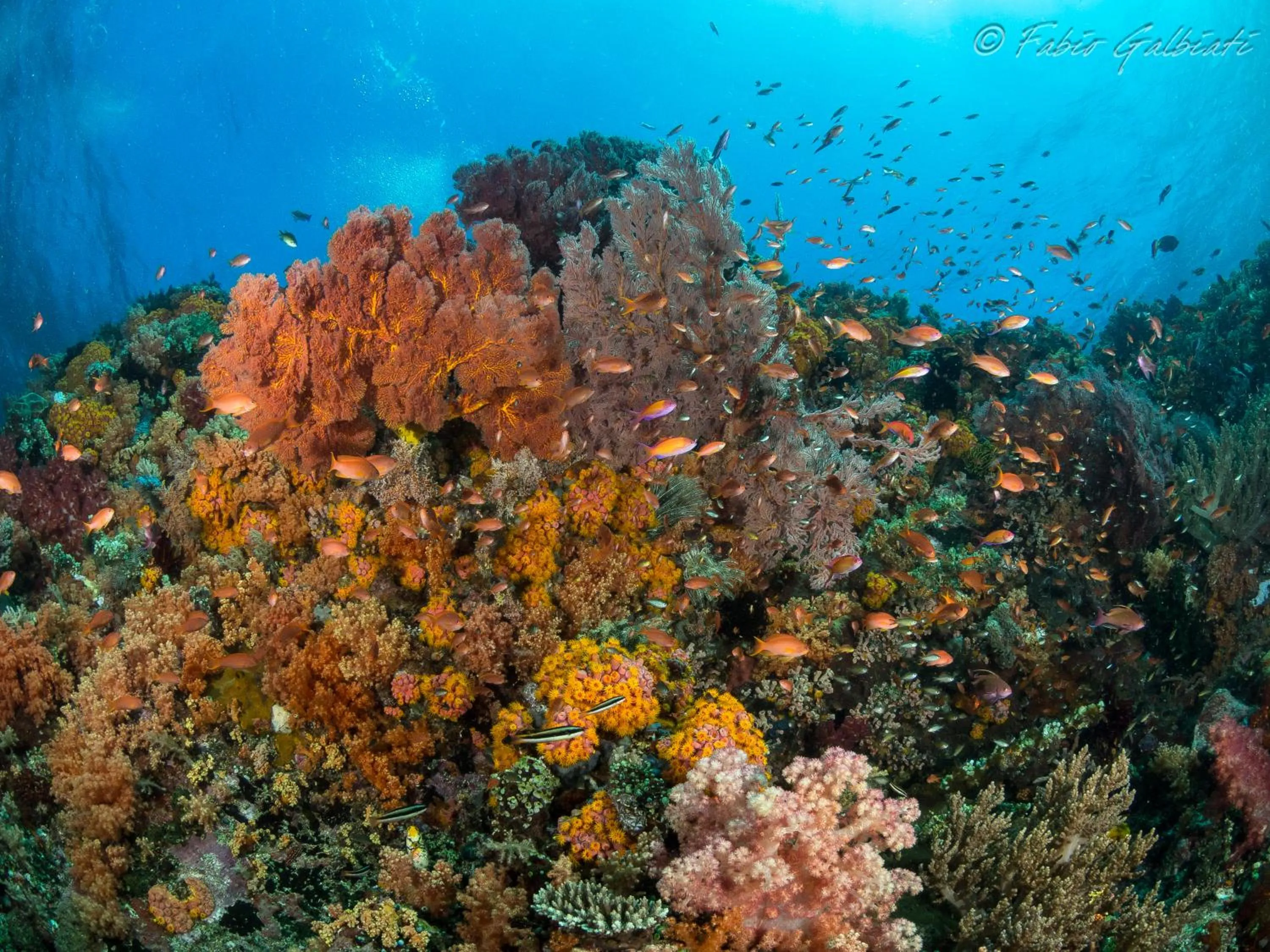 Sports in Coral Eye Boutique Resort and Marine Outpost