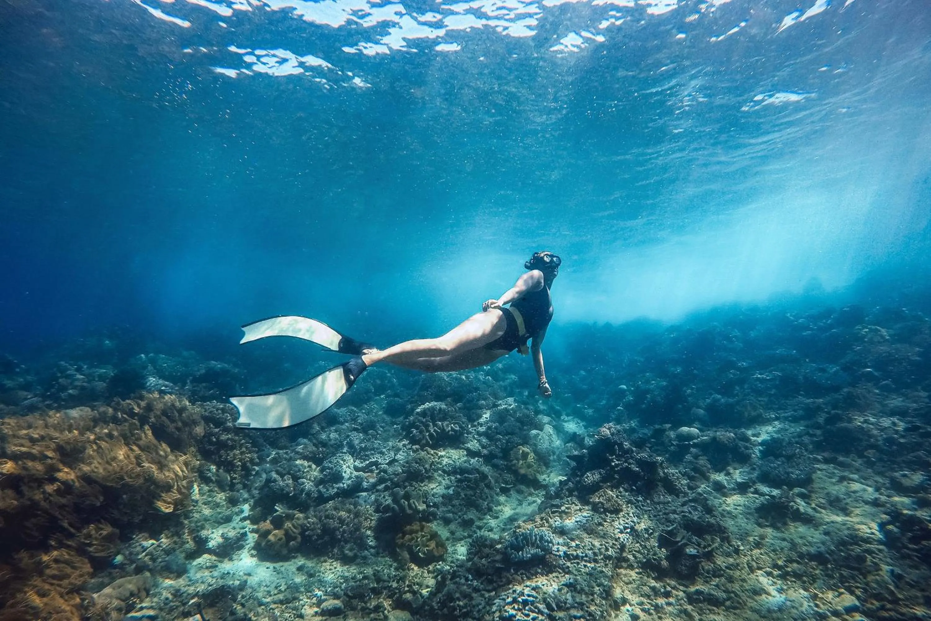 Activities in Coral Eye Boutique Resort and Marine Outpost