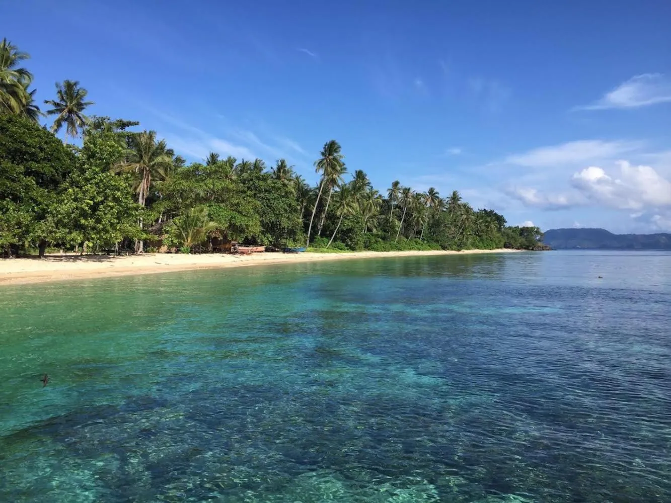 Beach in Coral Eye Boutique Resort and Marine Outpost