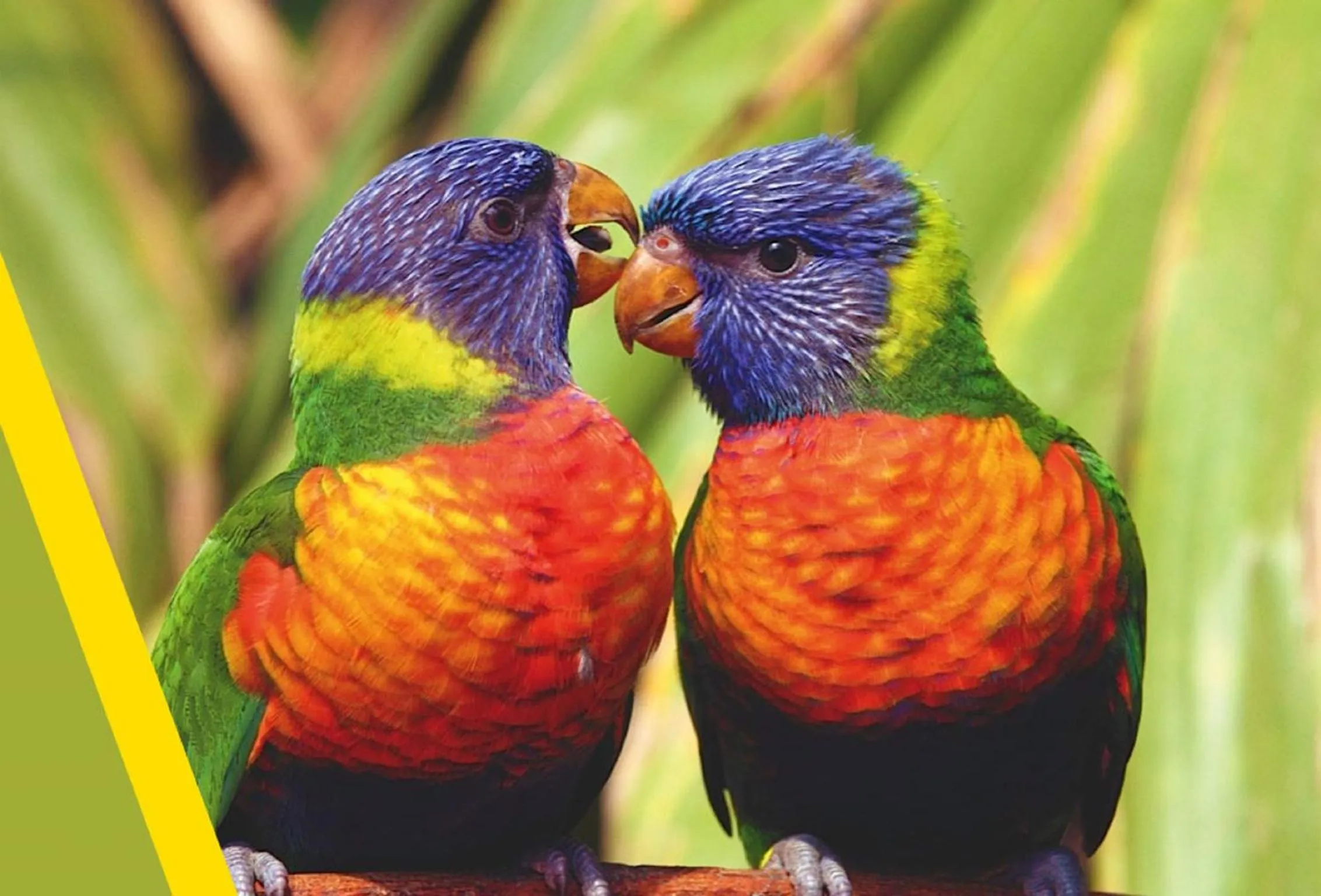 Nearby landmark in Logis Hotel Le Petit Casset