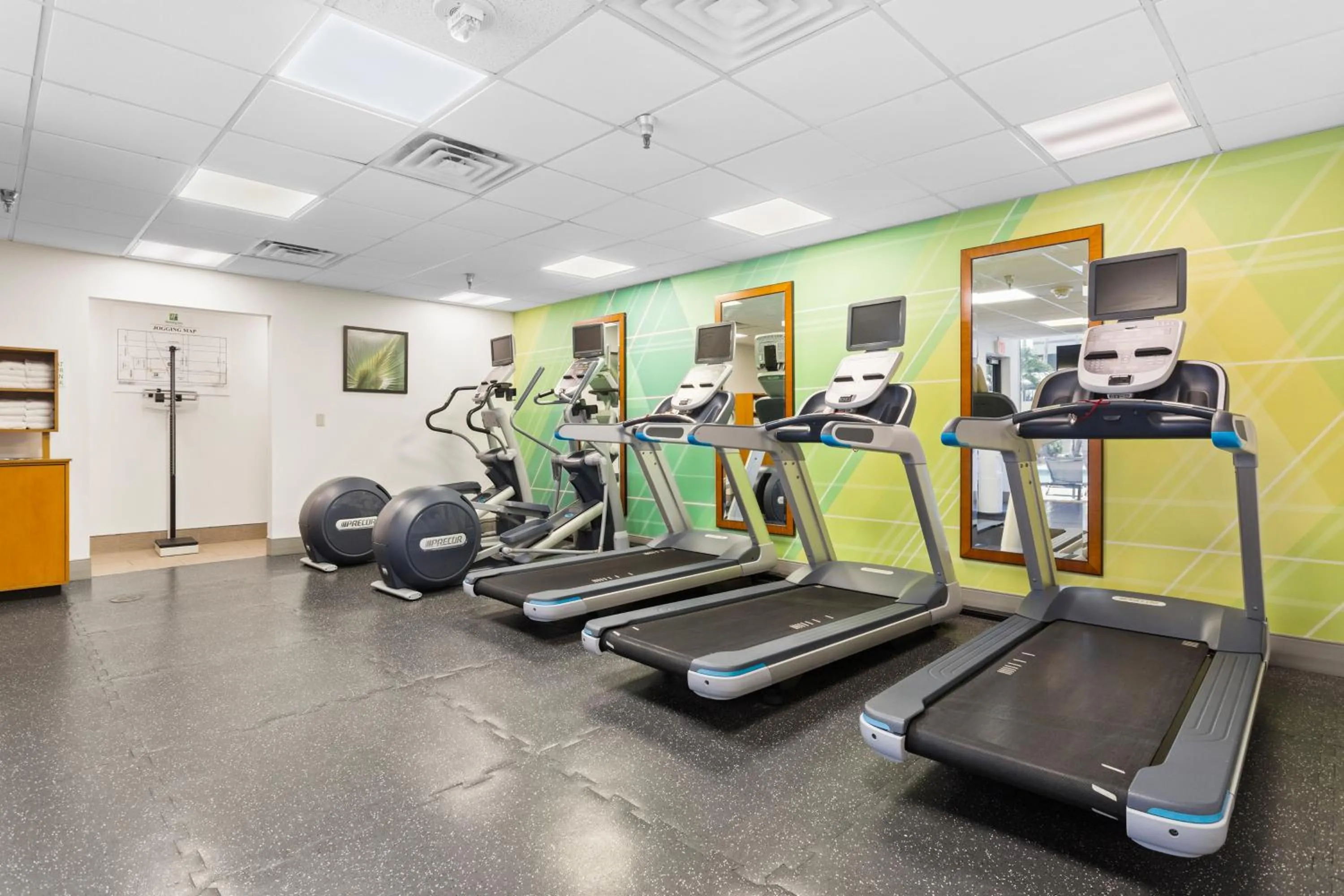 Fitness centre/facilities in Holiday Inn Tampa Westshore - Airport Area by IHG