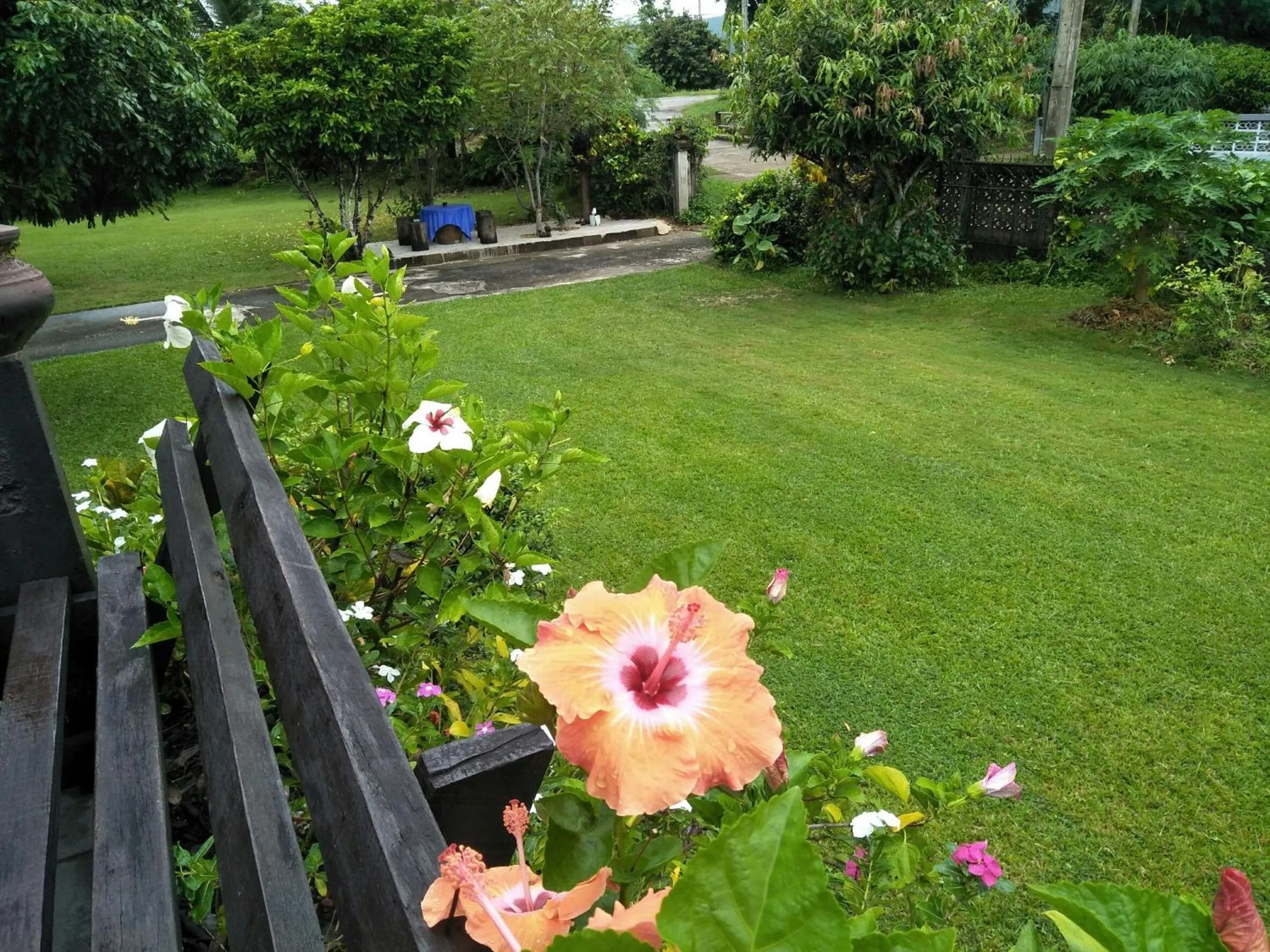 Natural landscape in Oui Kaew Homestay