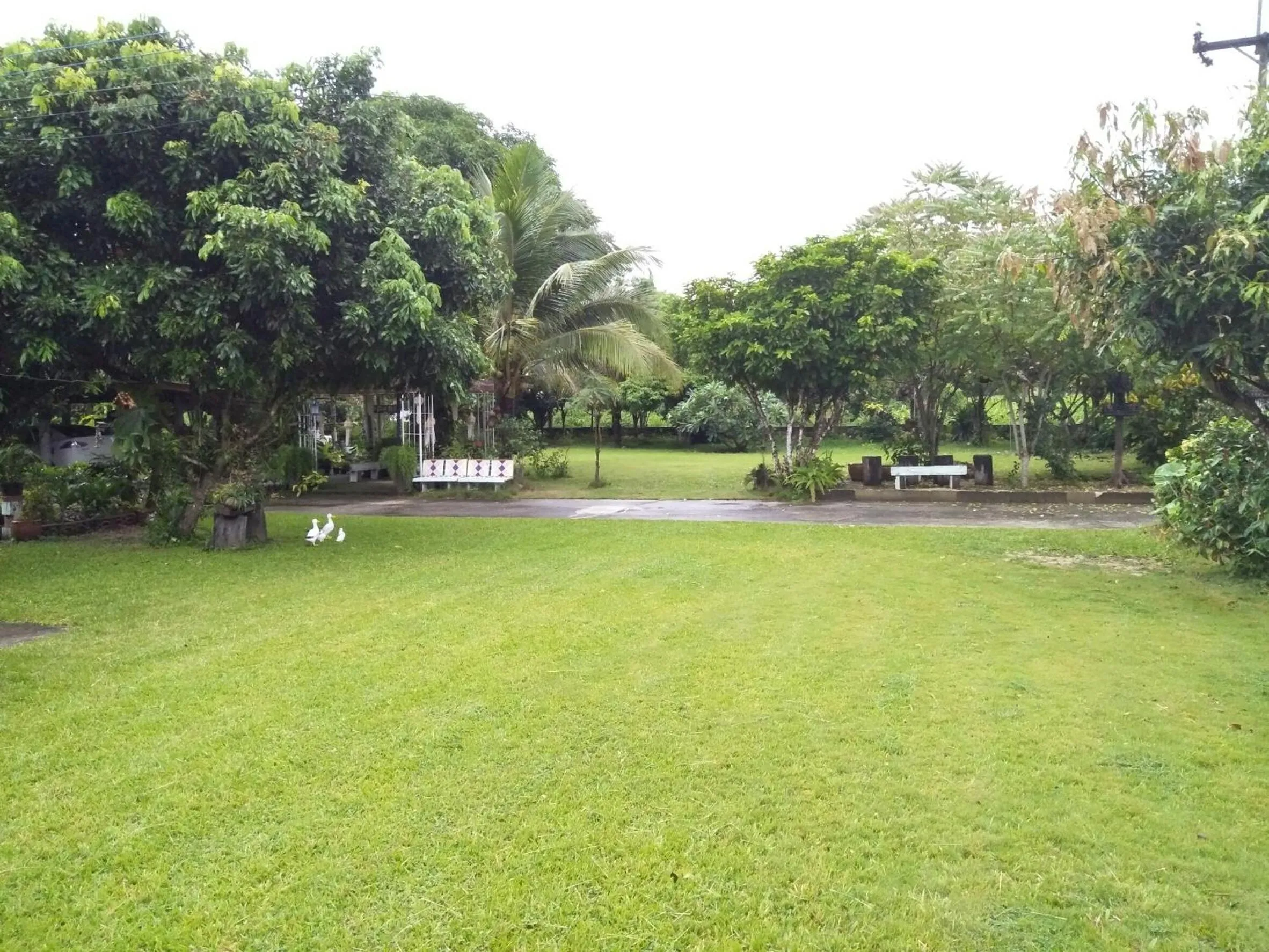 Natural landscape in Oui Kaew Homestay