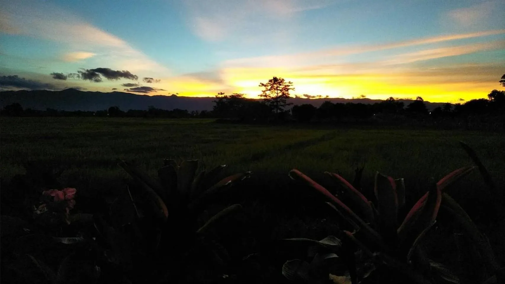 Natural landscape in Oui Kaew Homestay