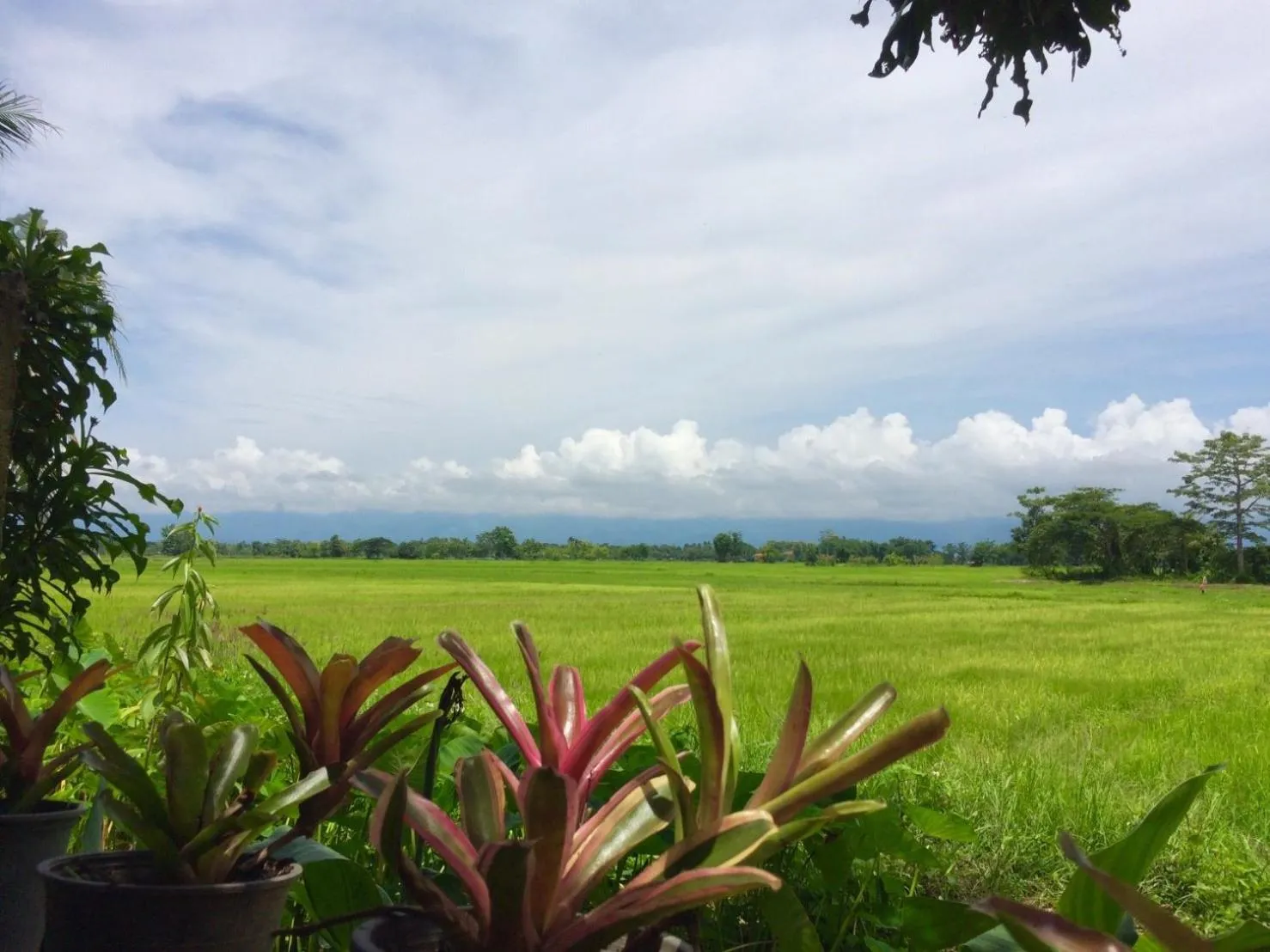Natural landscape in Oui Kaew Homestay