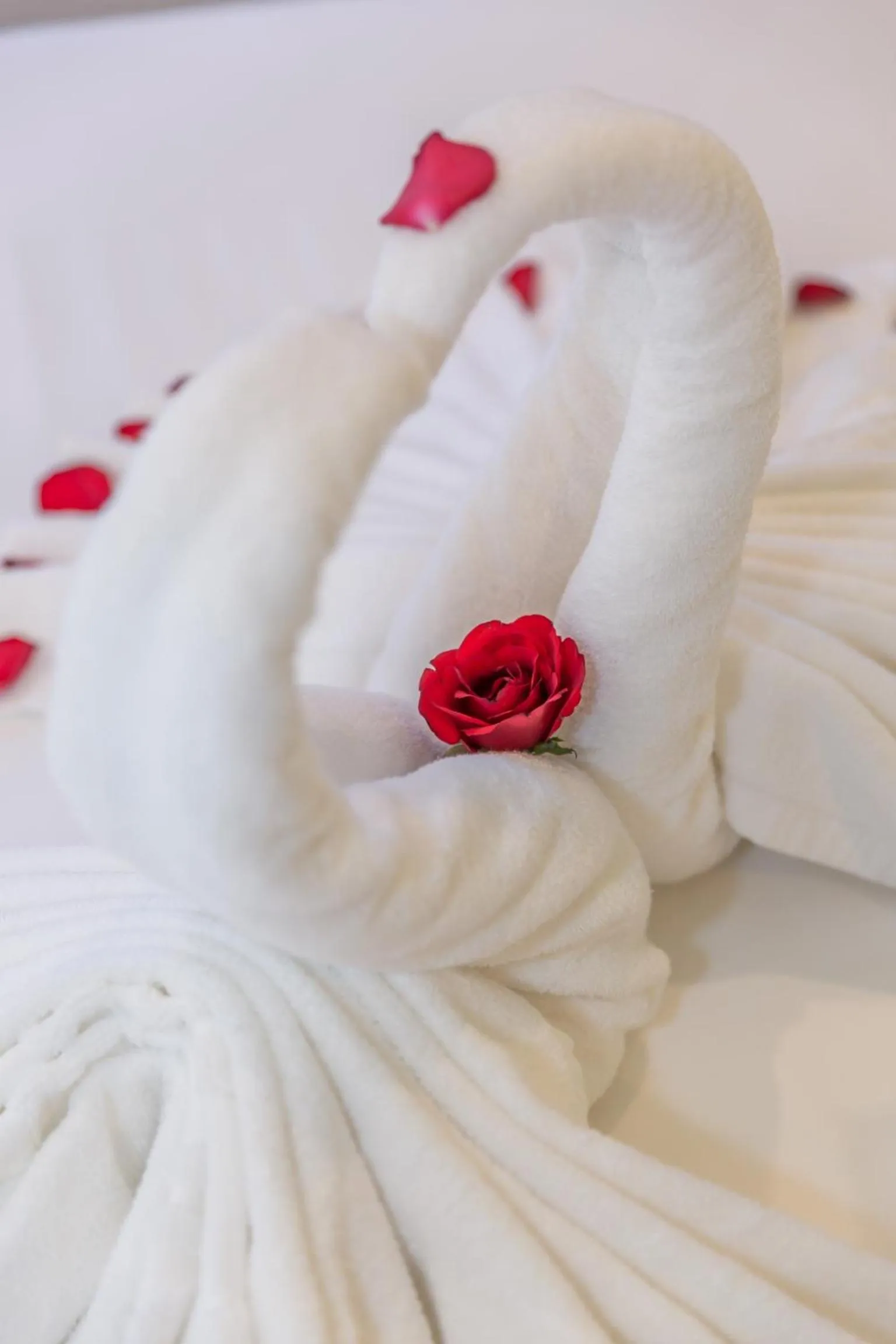 Bed in Raon Danang Beach - STAY 24H