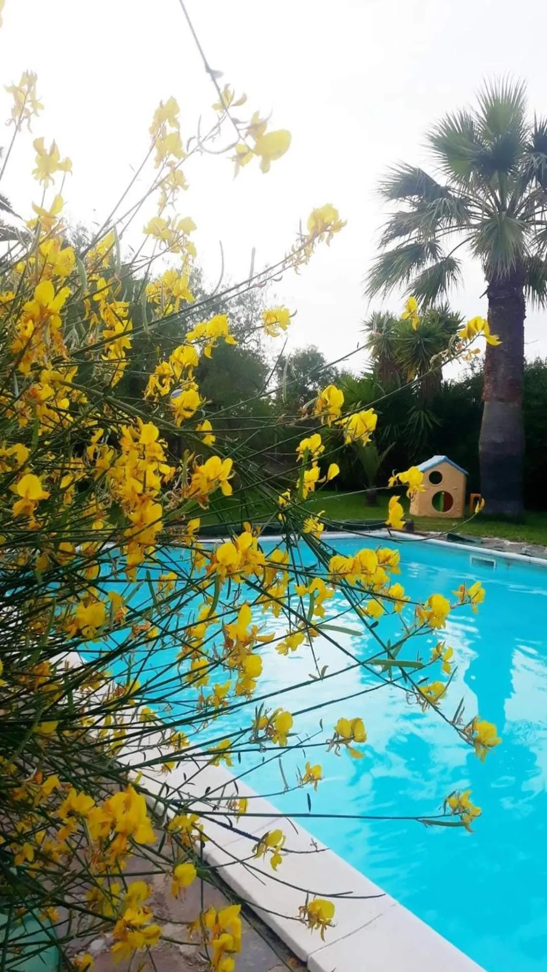 Pool view in La Ginestra