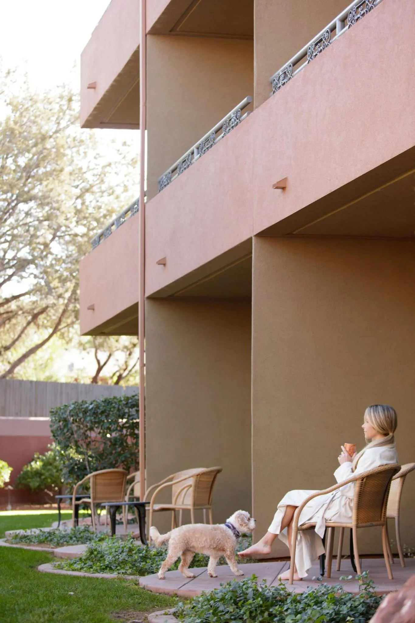 Pets in The Wilde Resort and Spa