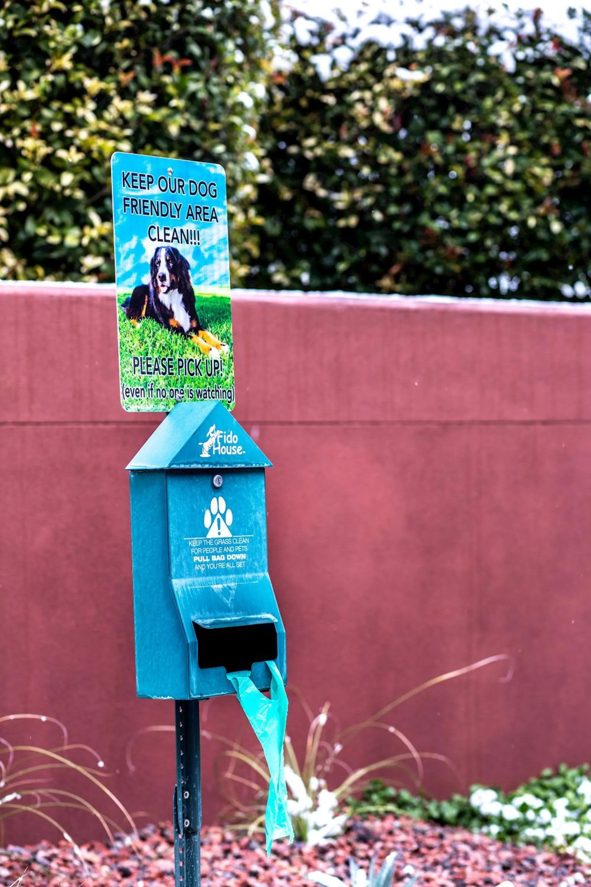 Pets in The Wilde Resort and Spa