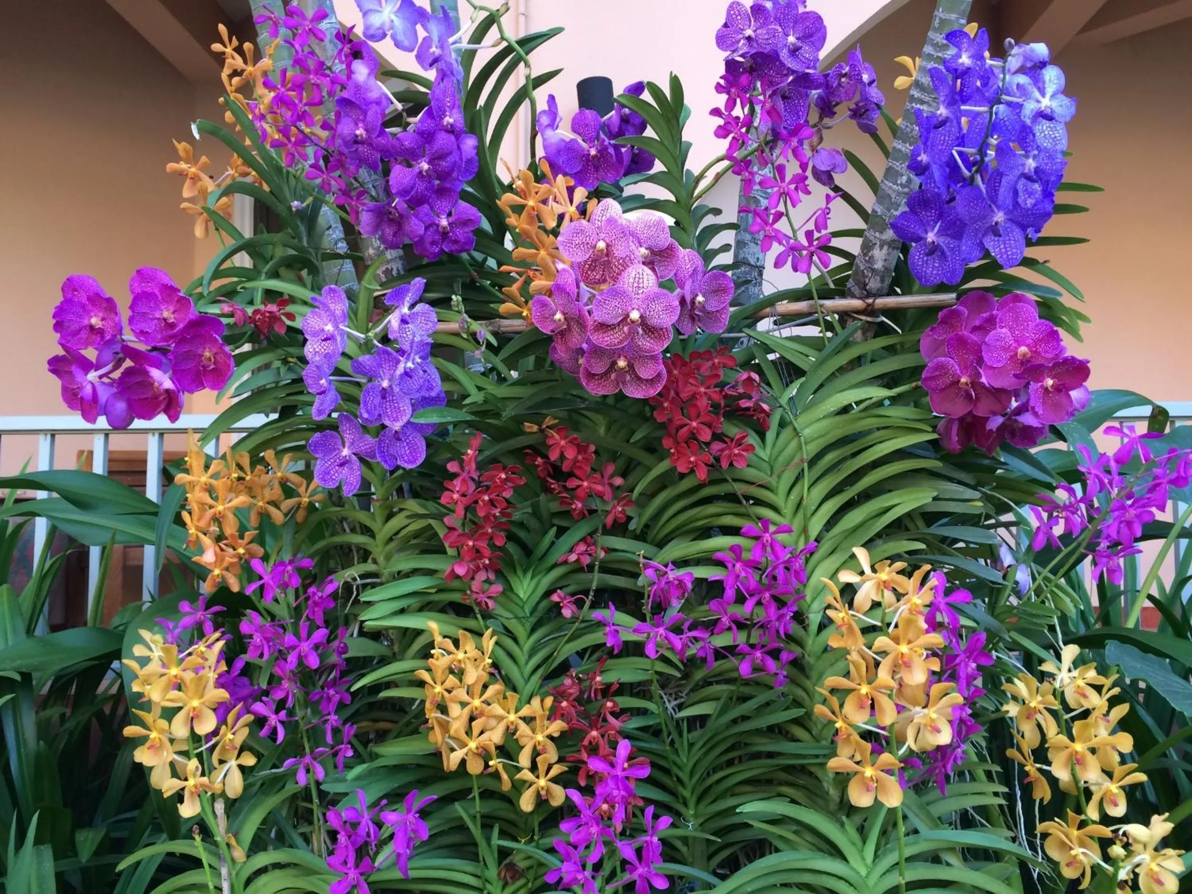 Garden in Anantasila Beach Resort Hua Hin