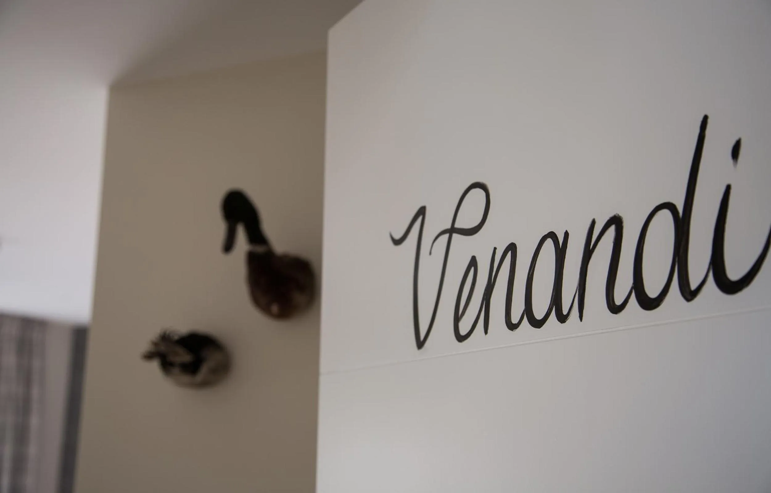 Photo of the whole room in De Verloren Sinjoor