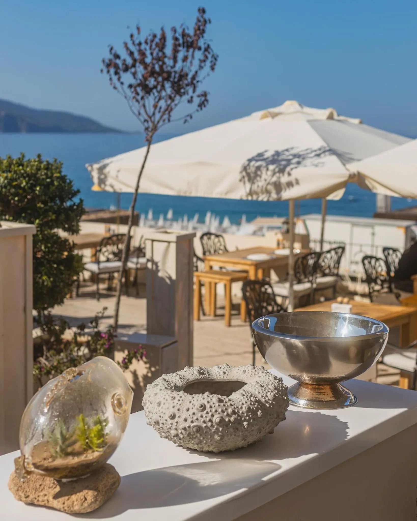 Restaurant/places to eat in Jade Residence