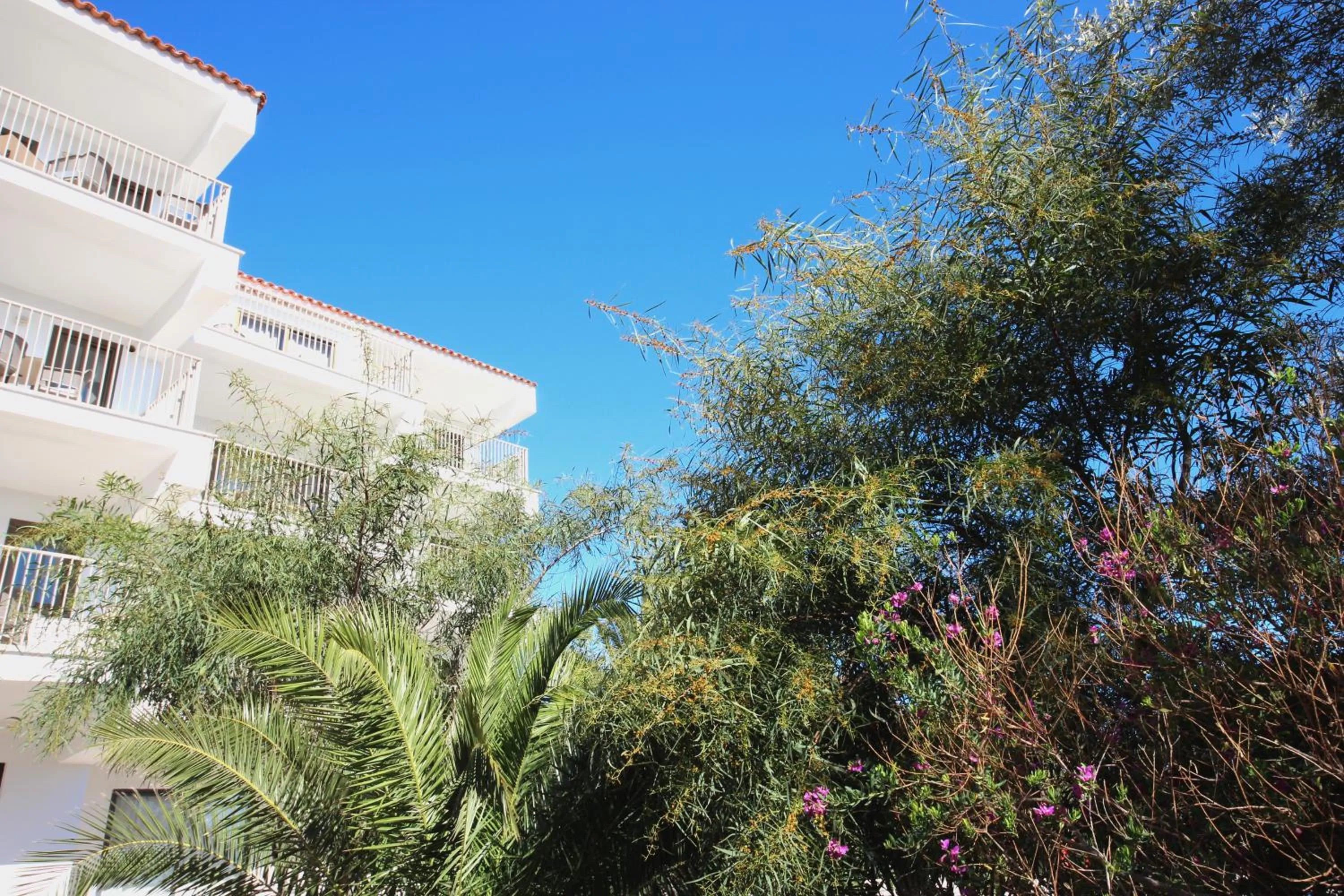 Property building in Aparthotel Niu d´Aus