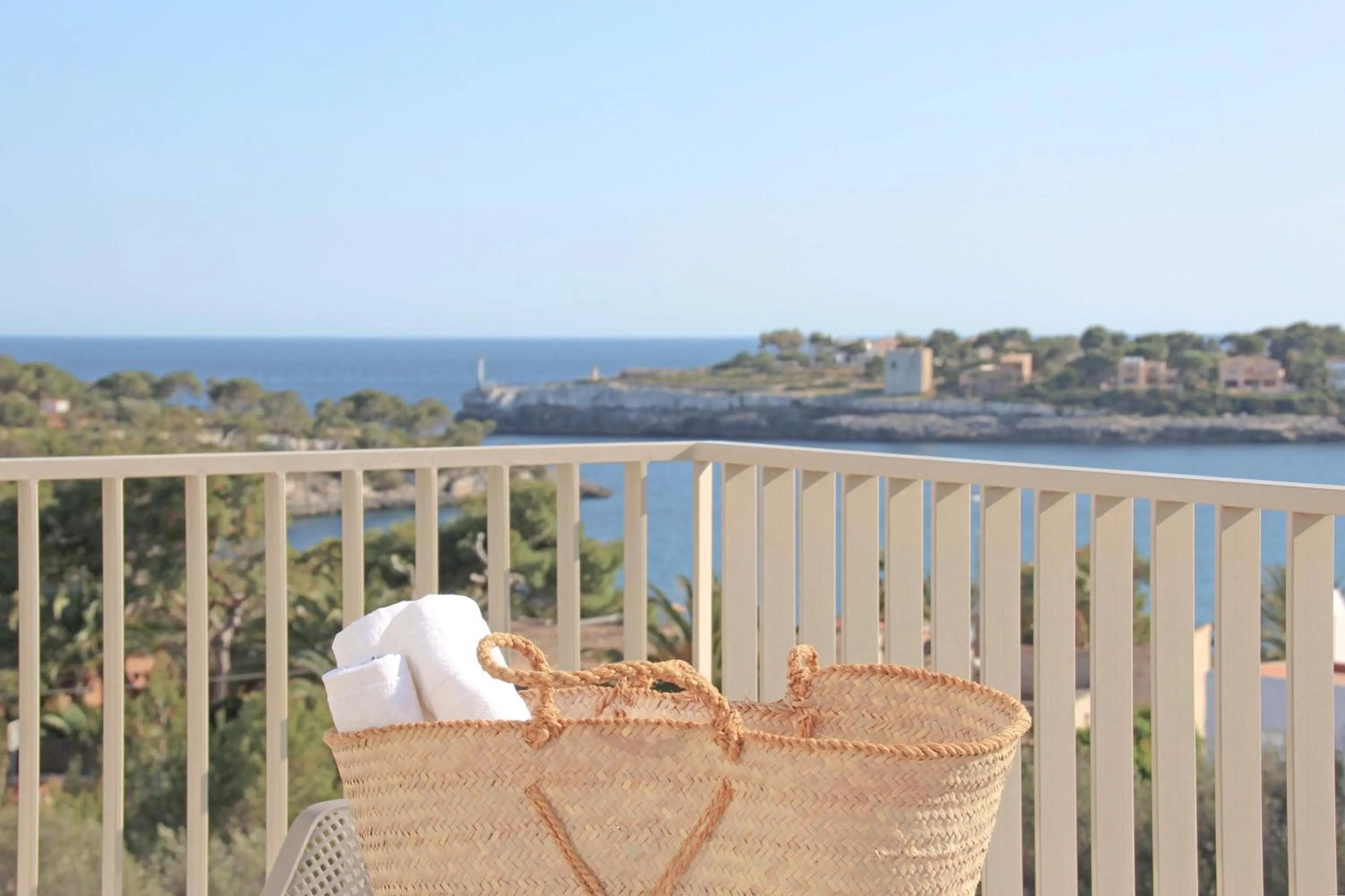 Balcony/Terrace in Aparthotel Niu d´Aus